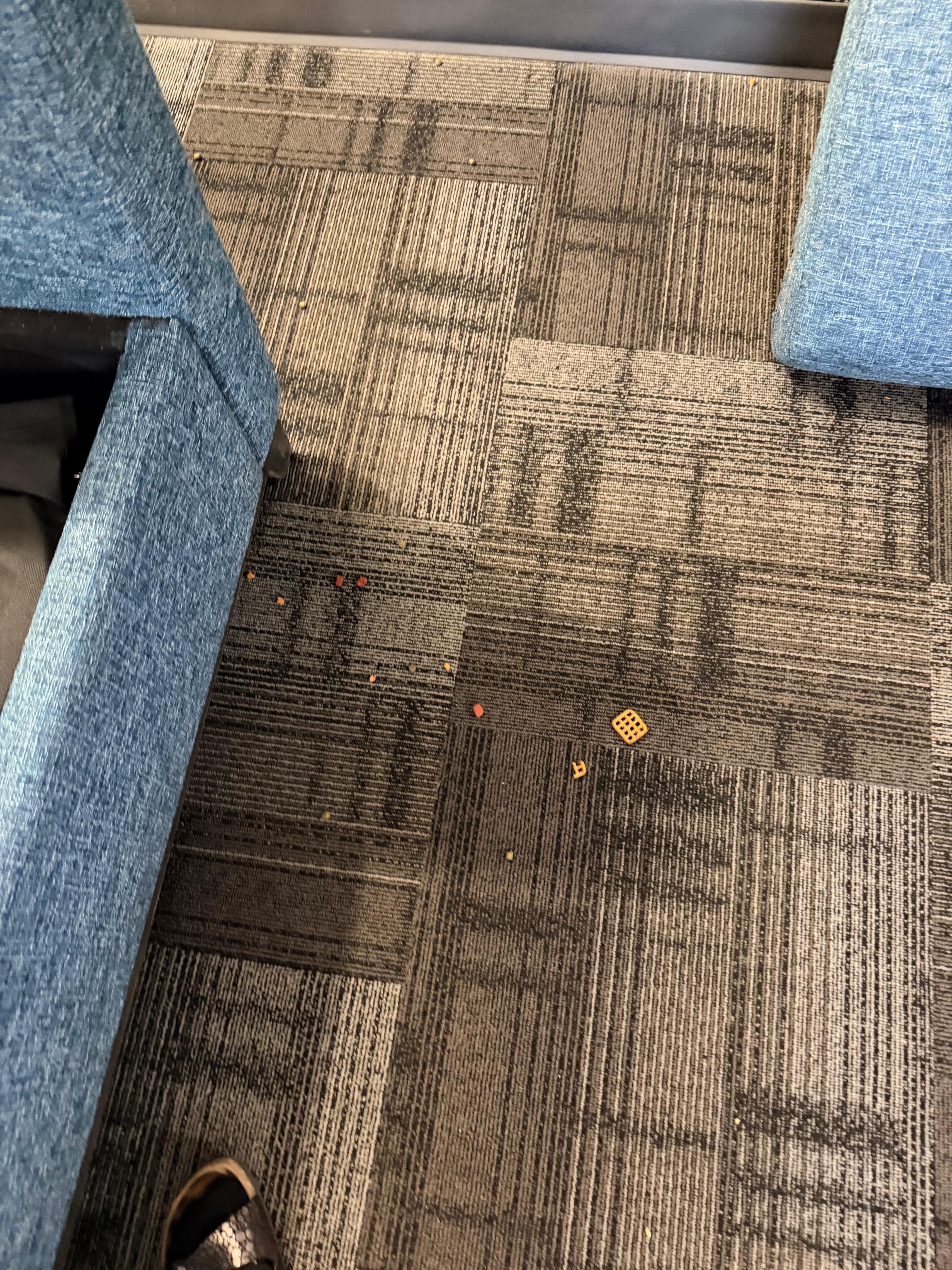 Cat food and garbage that was in the couch 