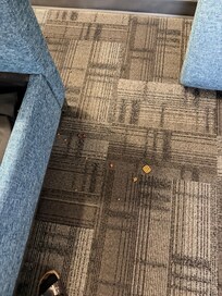 Cat food and garbage that was in the couch