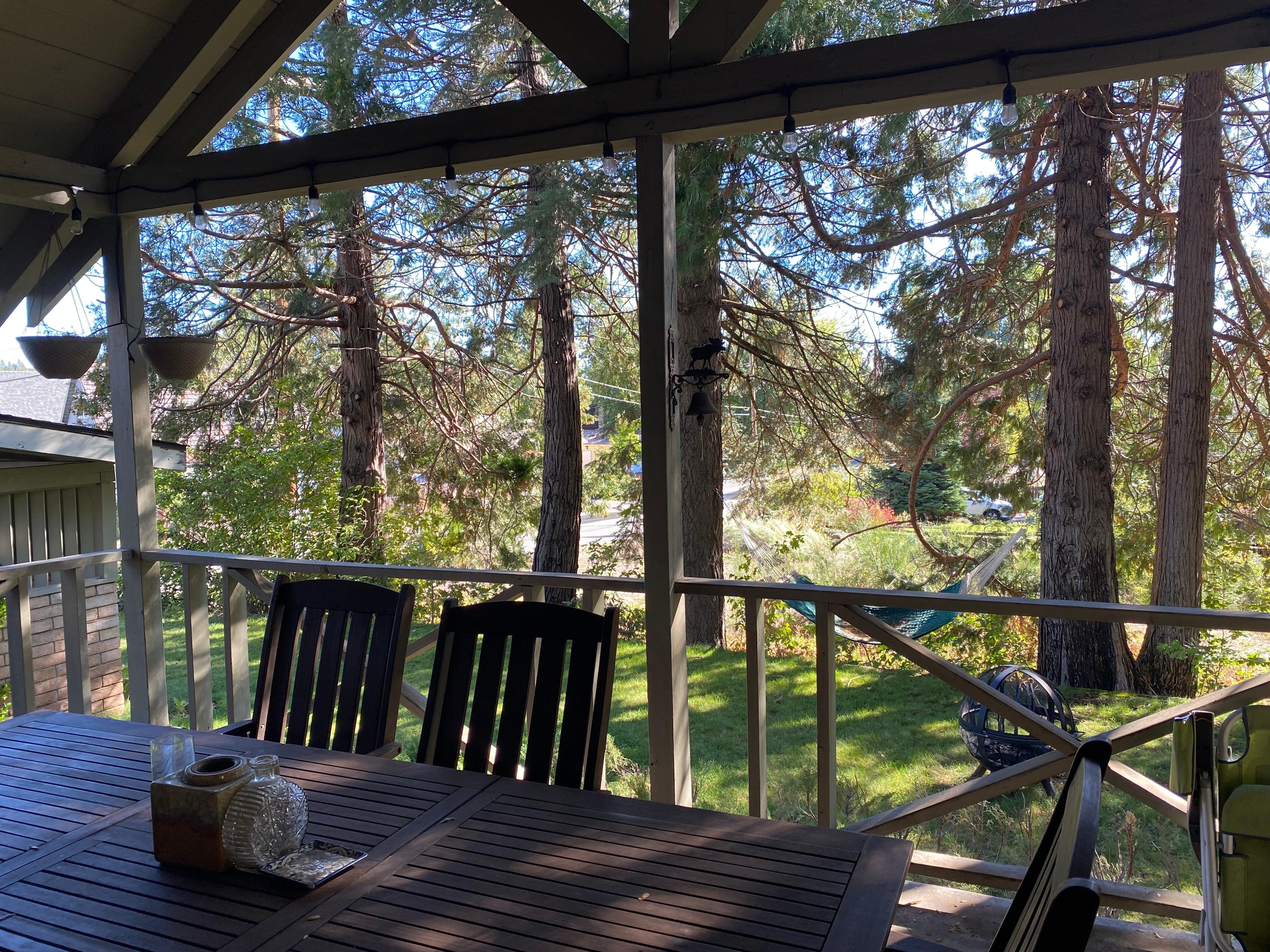 View from dining room 