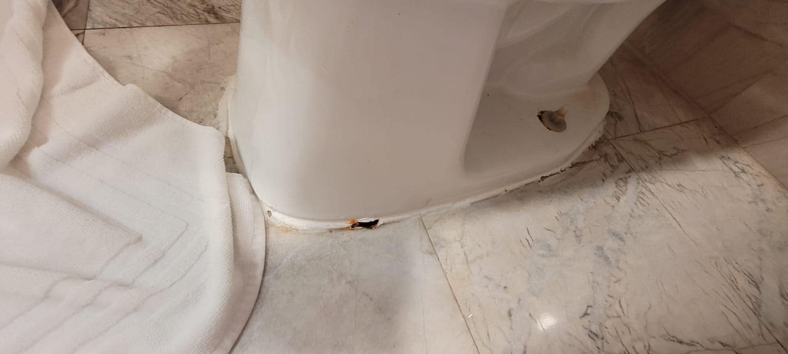 escusado que se mueve