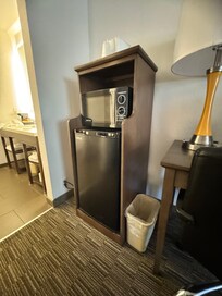 Larger than usual fridge - bonus!