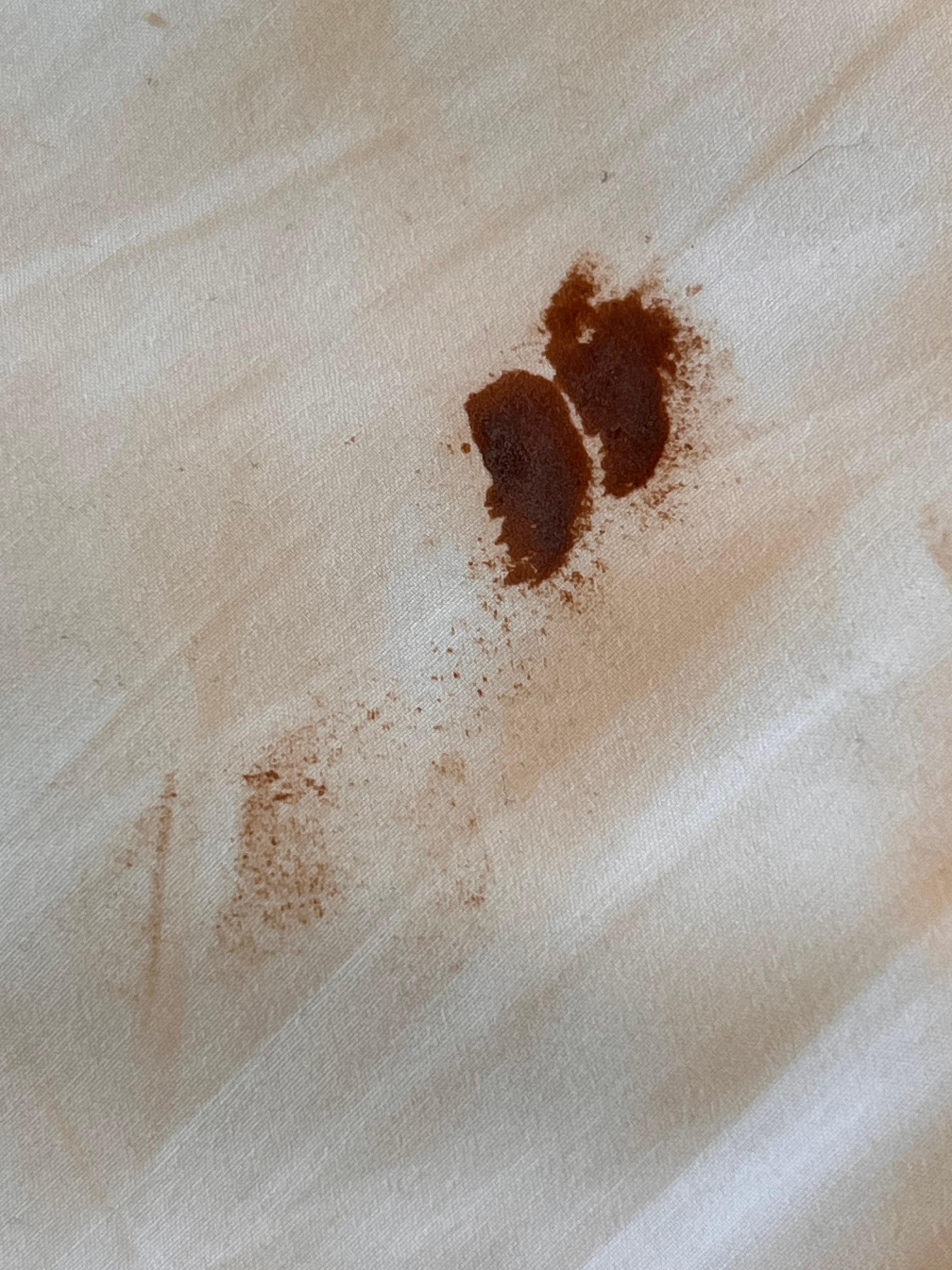 When I first checked in these sheets were dirty. When I asked for new sheets, they brought me up sheets, but they didn’t put them on for me. I had to like redo the whole bed. I don’t know if that’s blood or what  