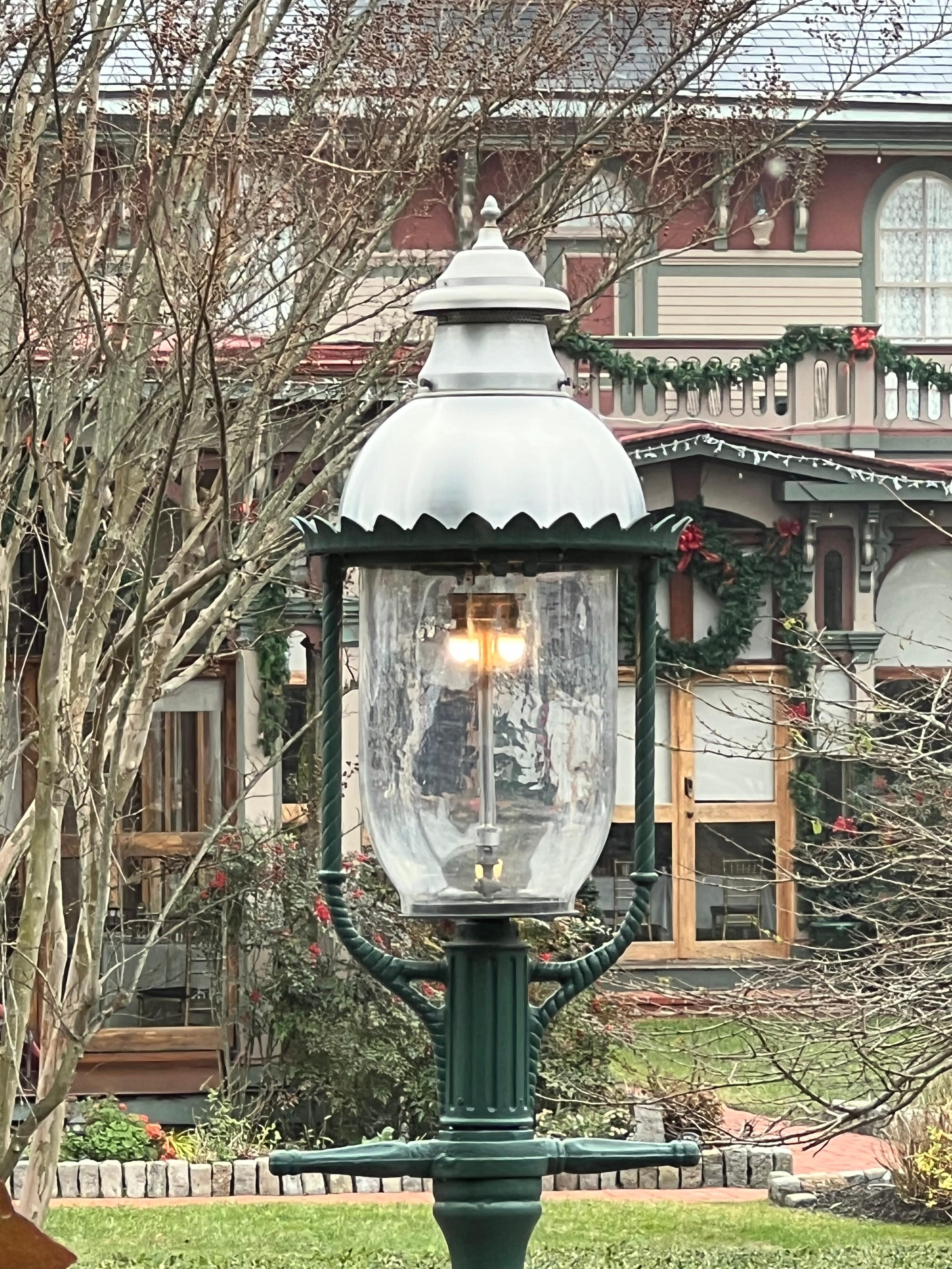 View from my seat on the sun porch. 