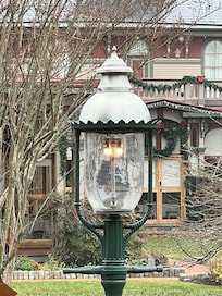 View from my seat on the sun porch.