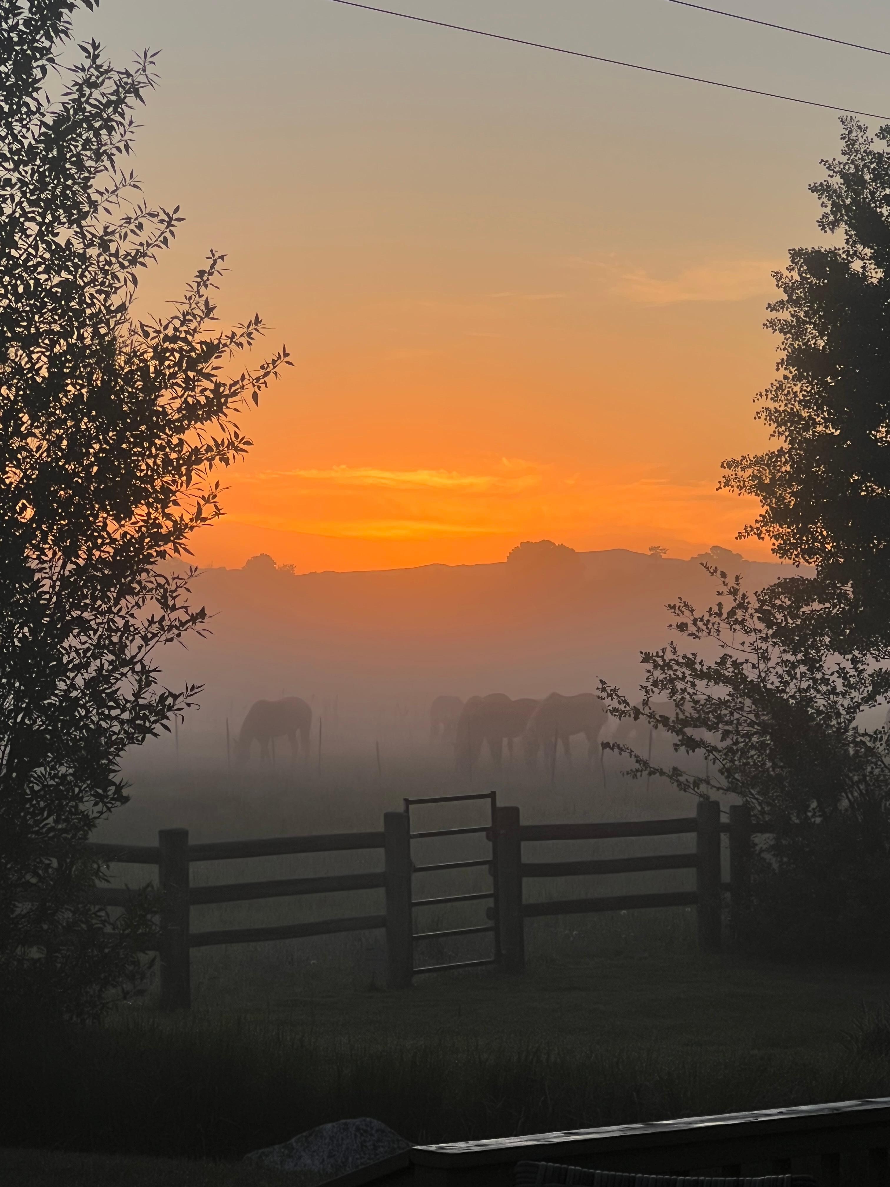 Sunrise 