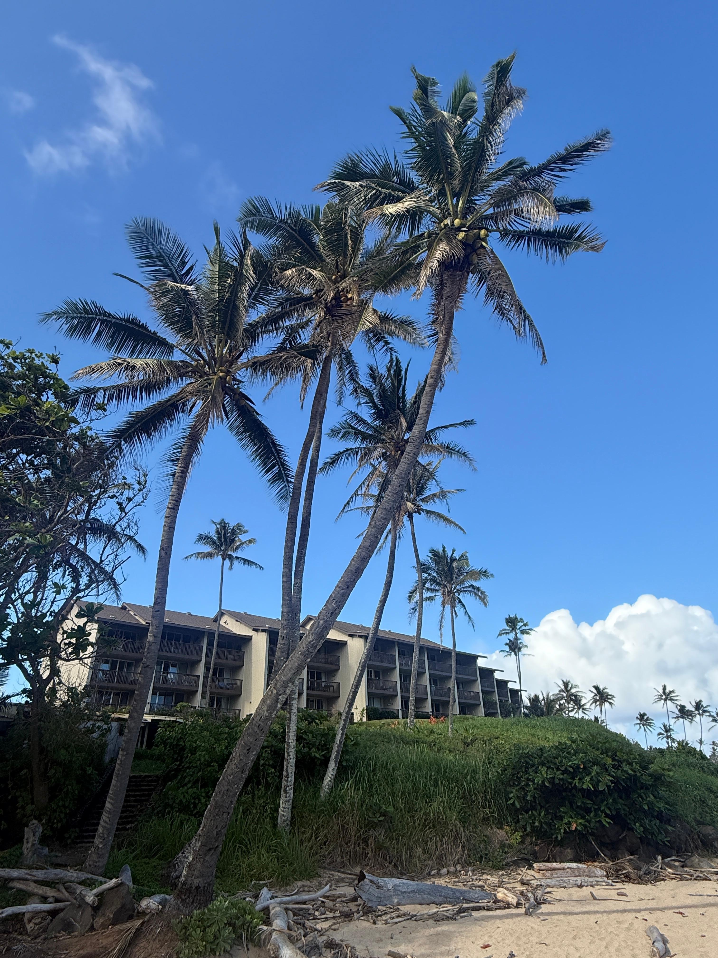 View of the unit from the beach