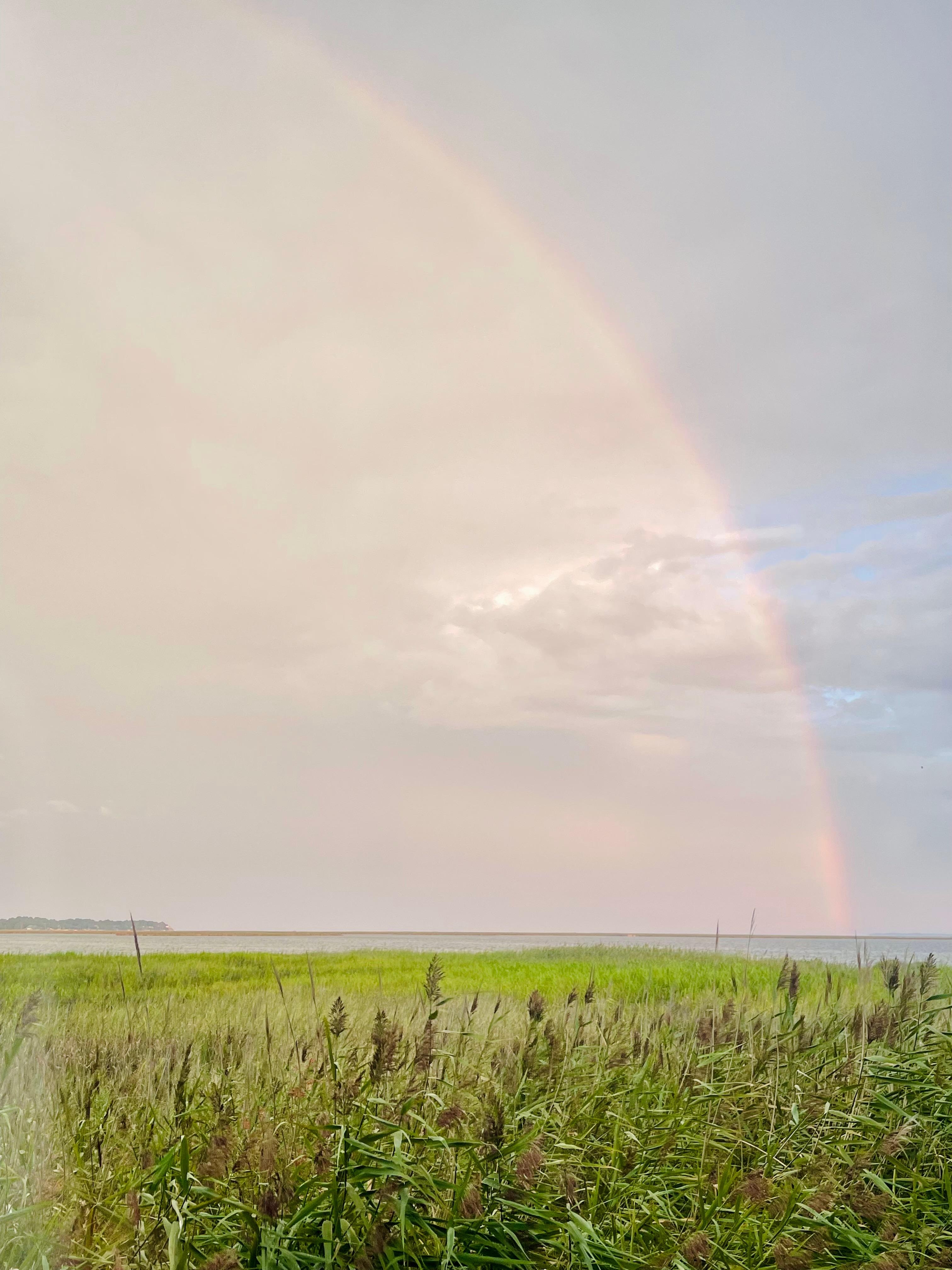 Morning view from living room