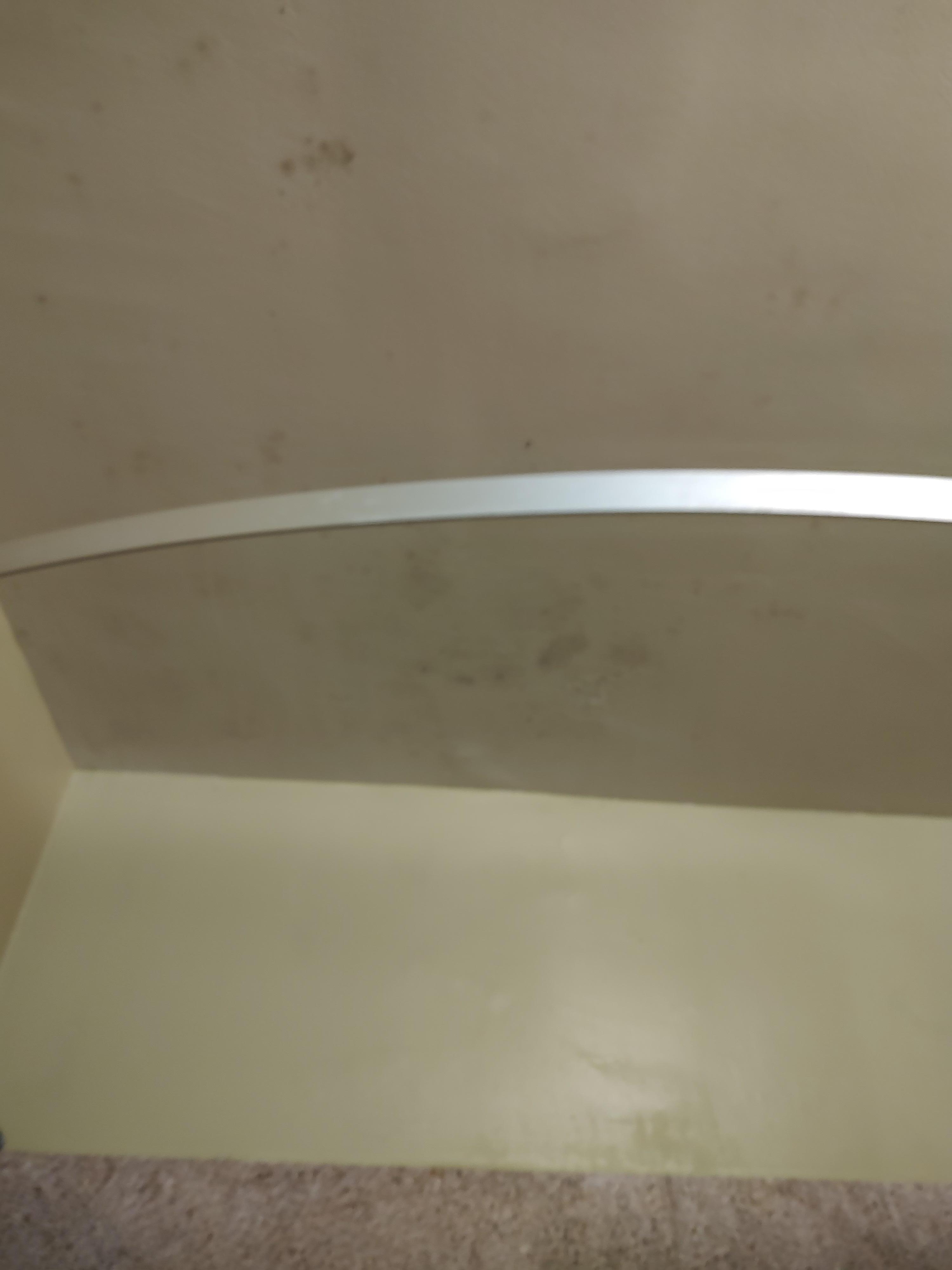 Bathroom mold