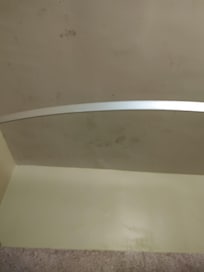 Bathroom mold