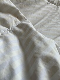 Blood stains