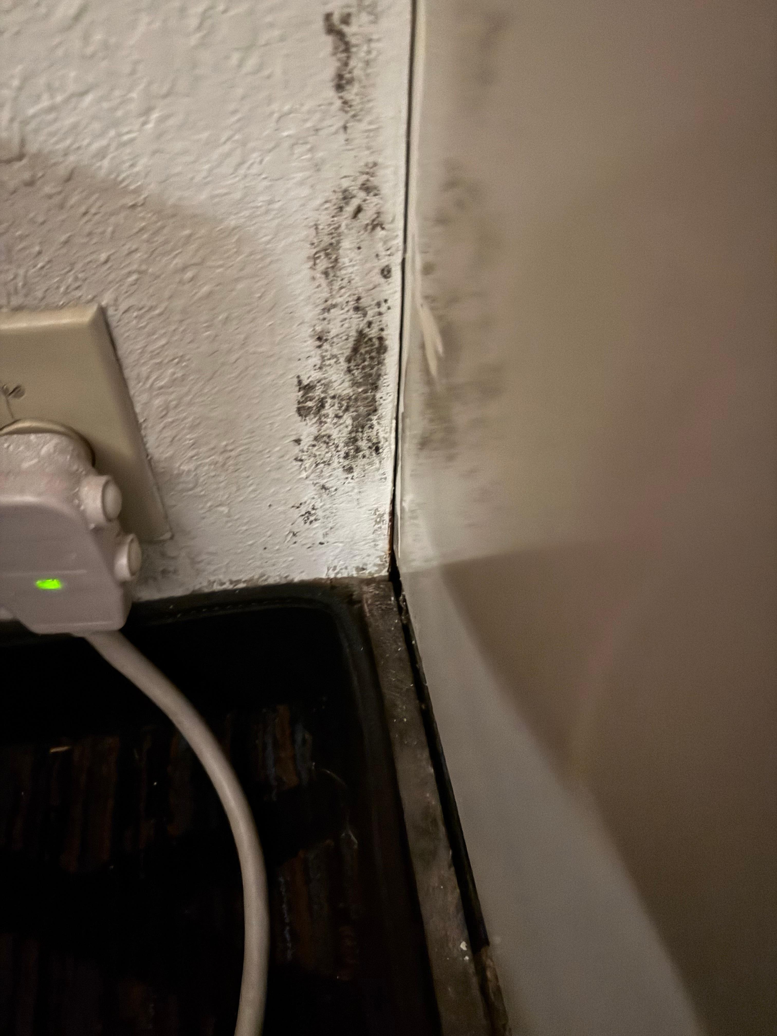 Mold