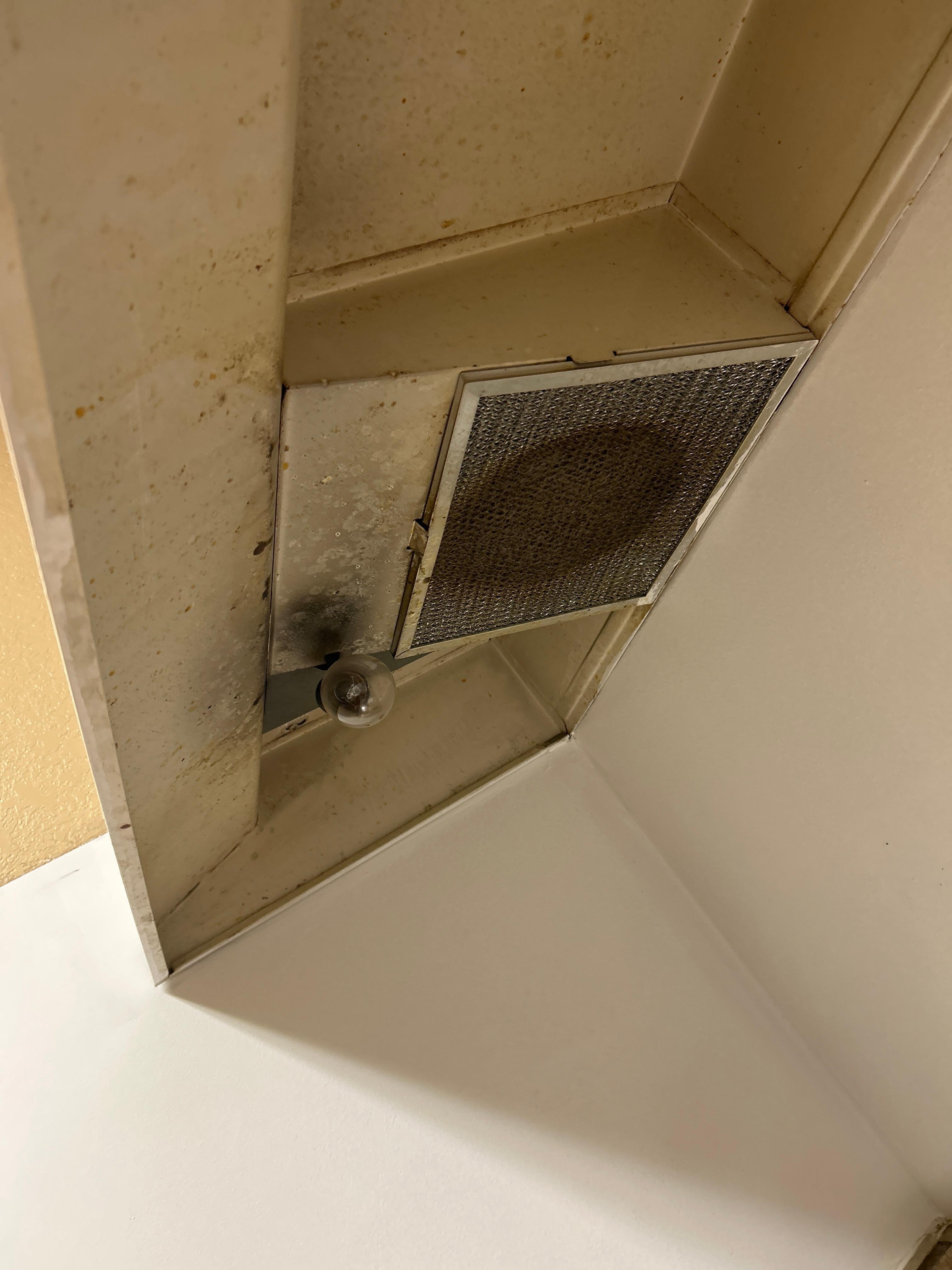 Under fan