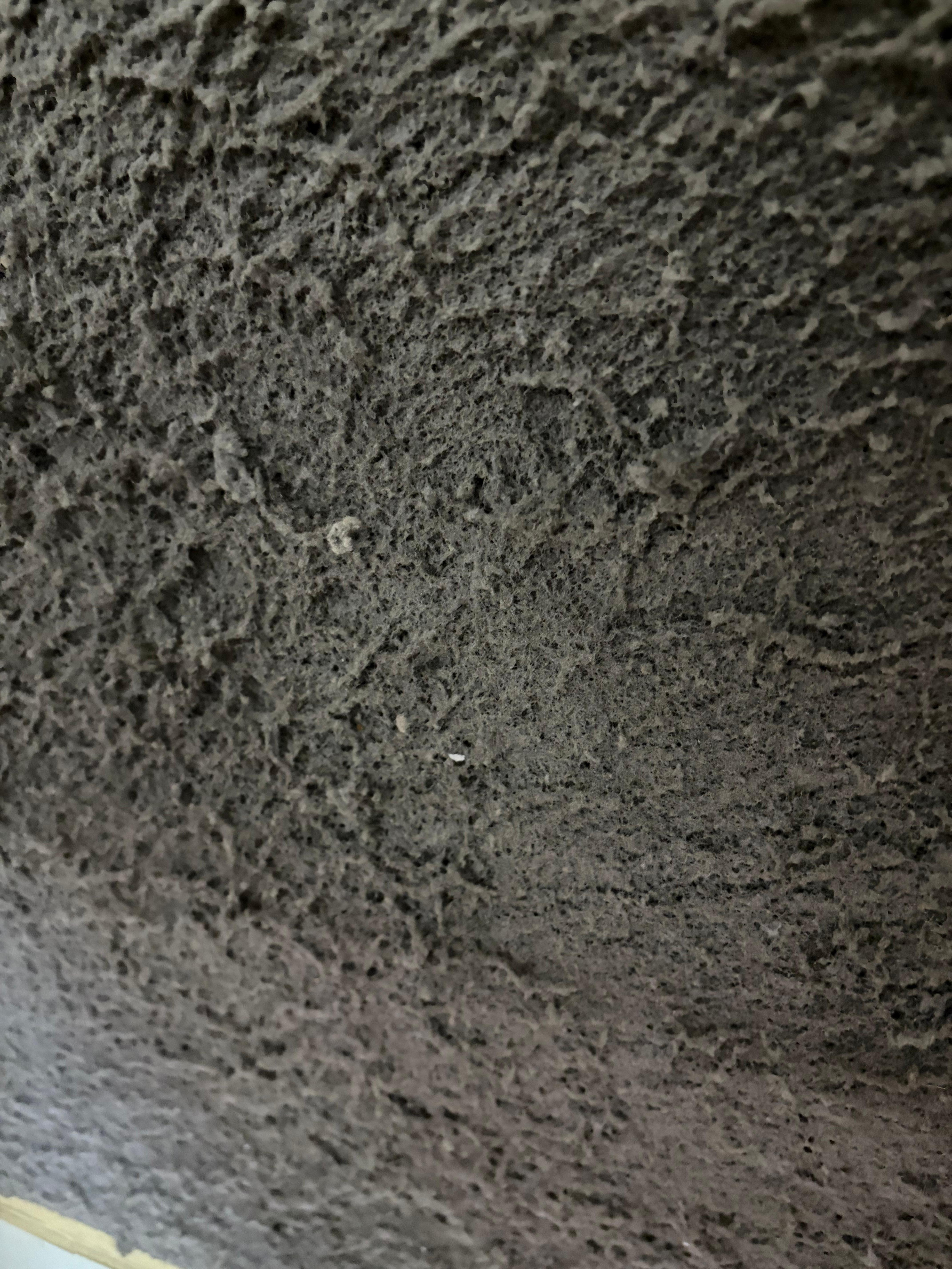 This is the thick dirt on the air conditioning filter!