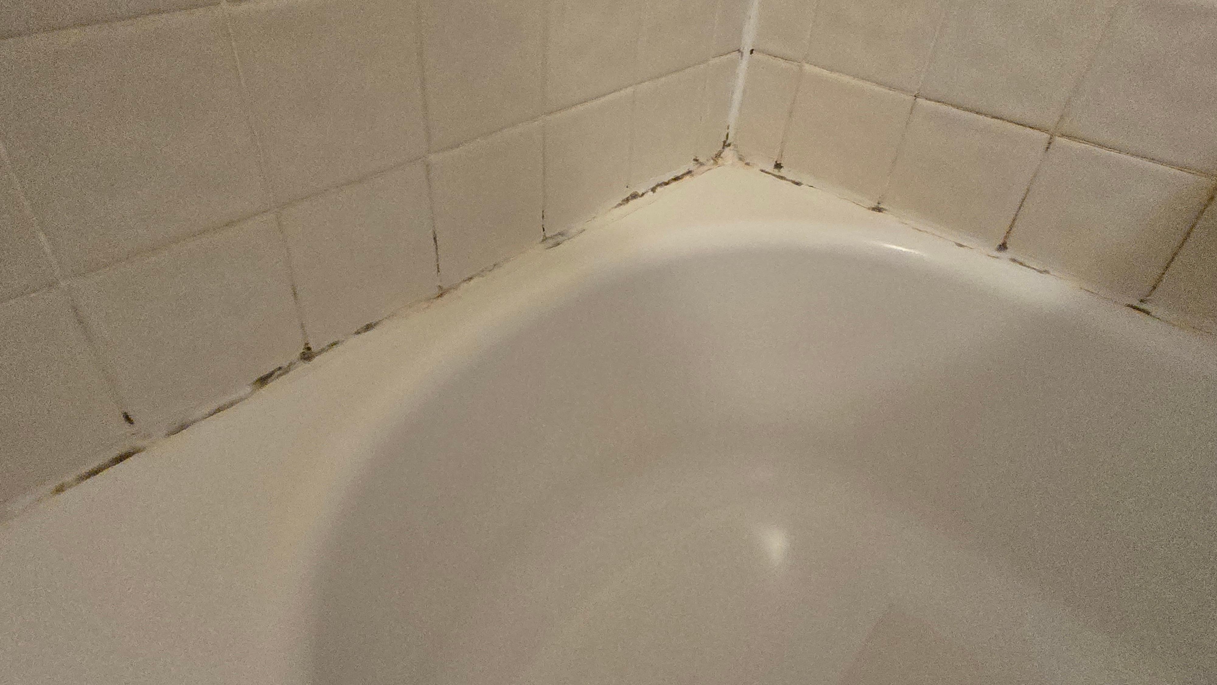 Mold around tub/shower