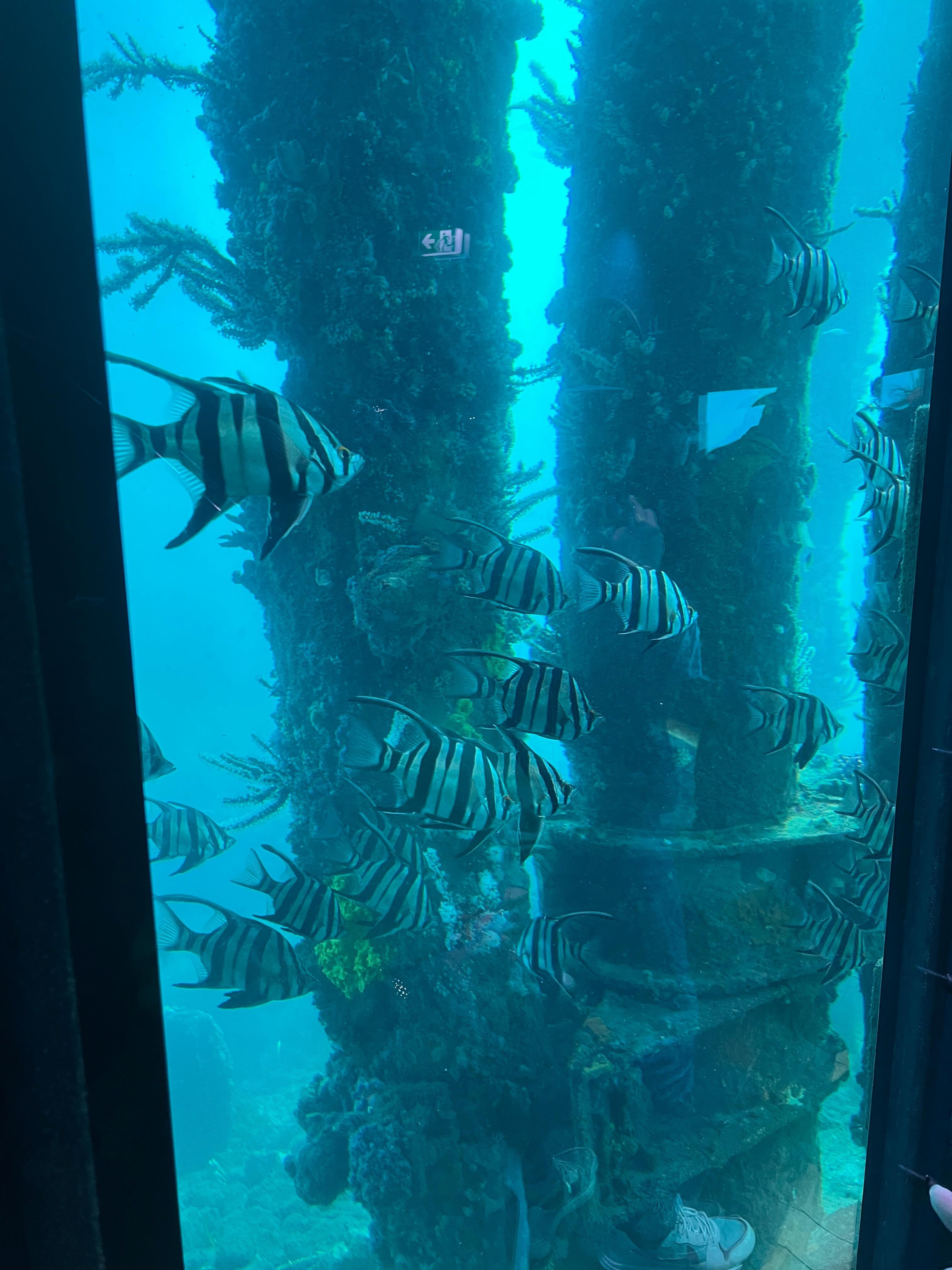 At the end of Busselton Jetty