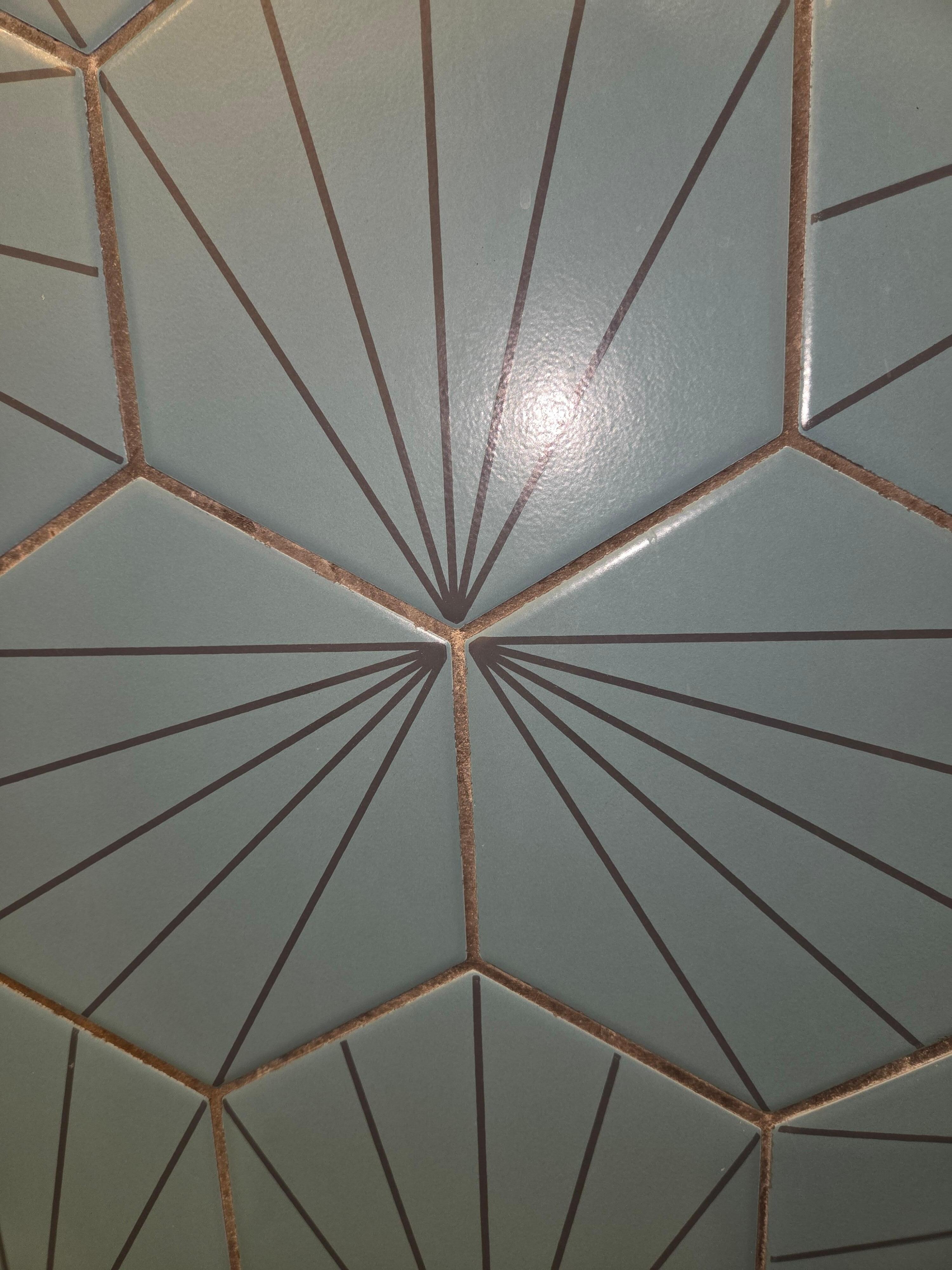Mouldy bathroom grout.