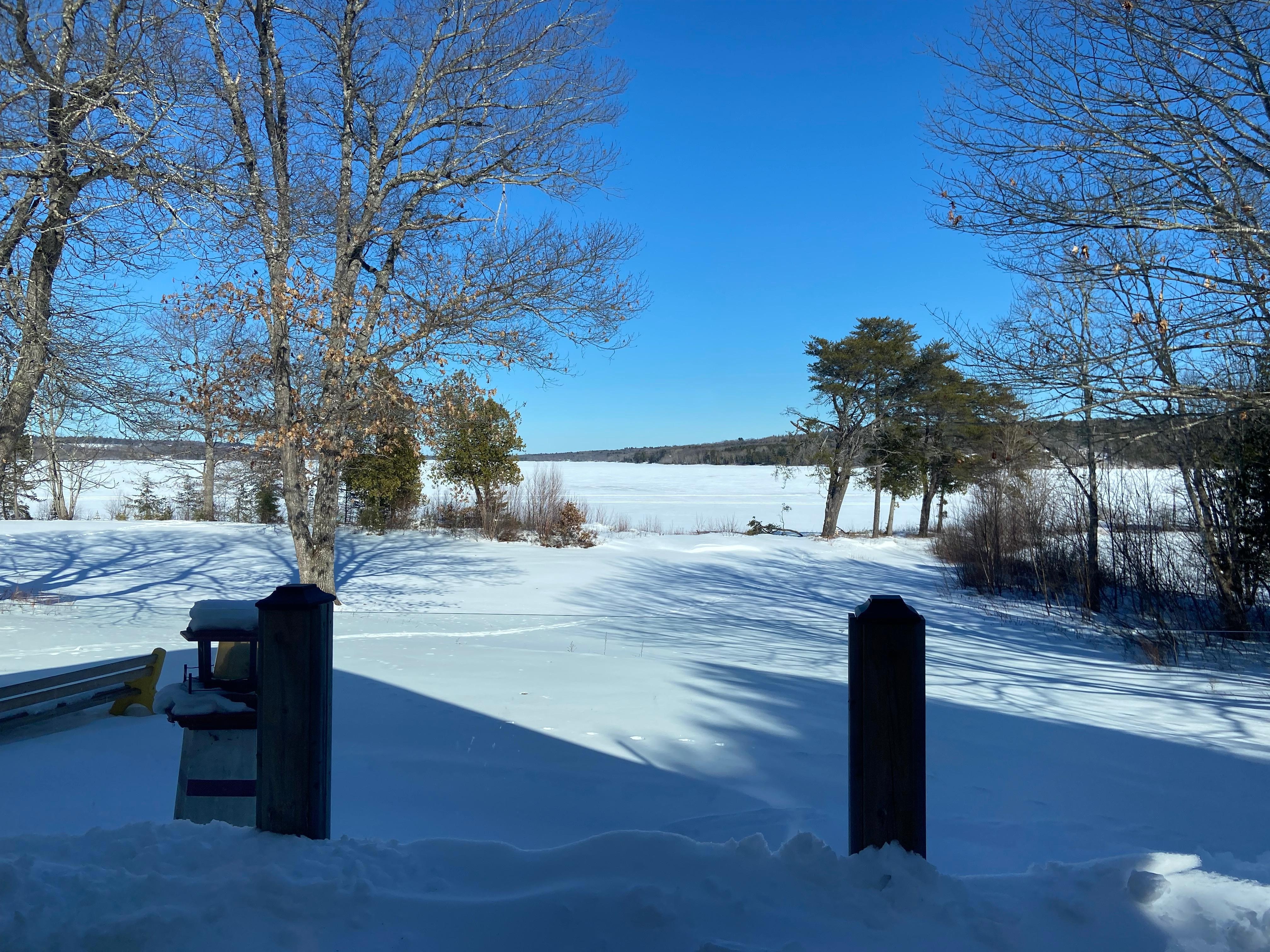 Winter view from the cottage!