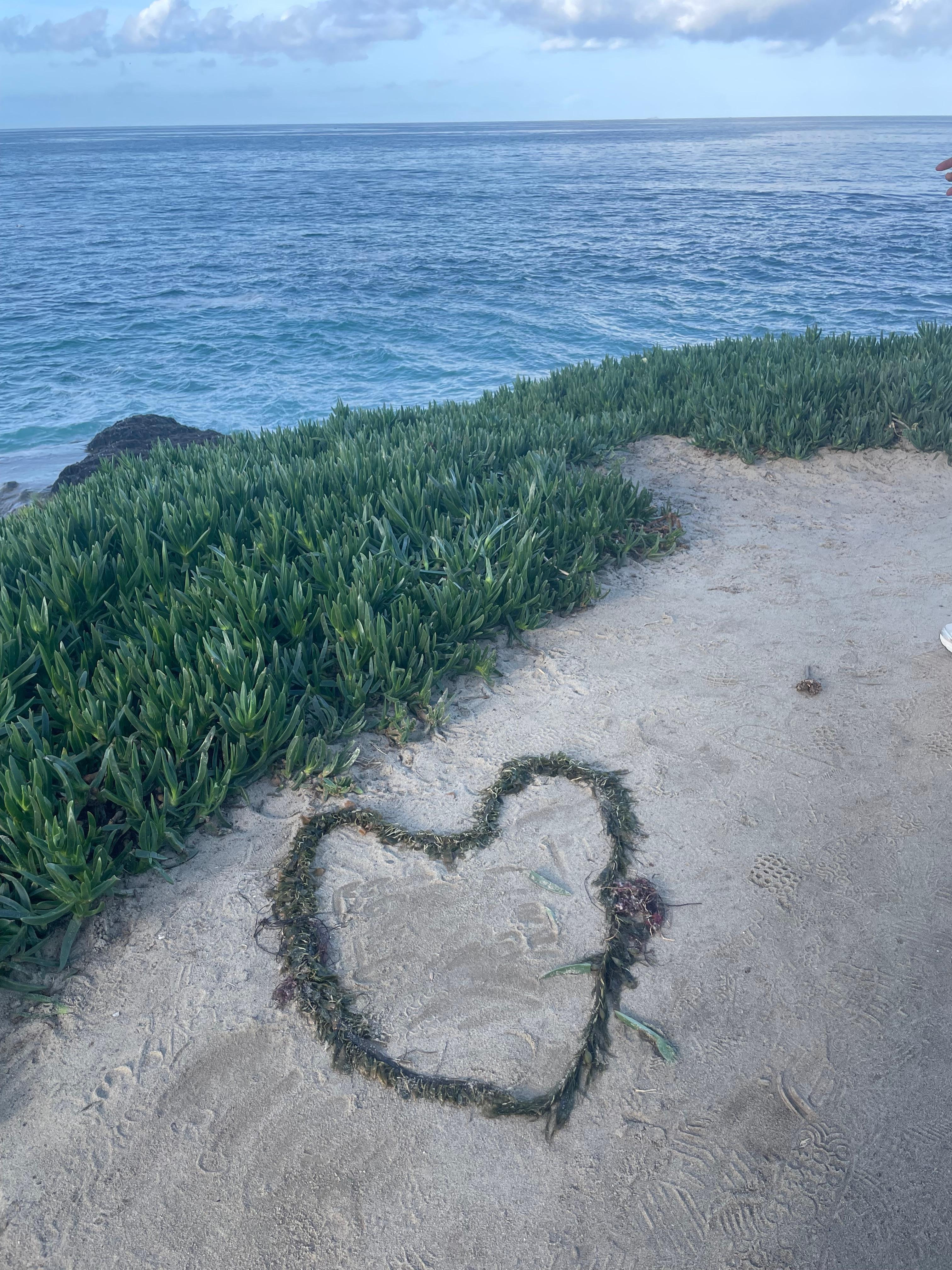 Neptune Park. Short walk from the house.