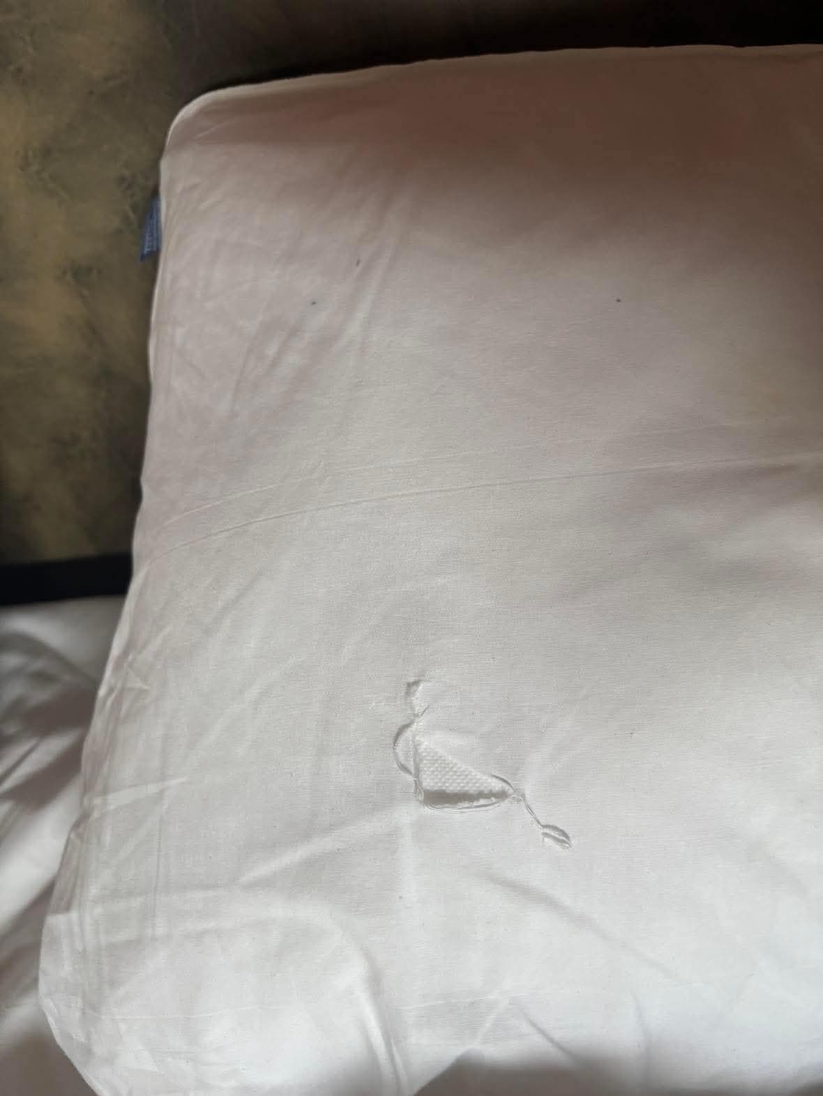 Torn pillowcase .