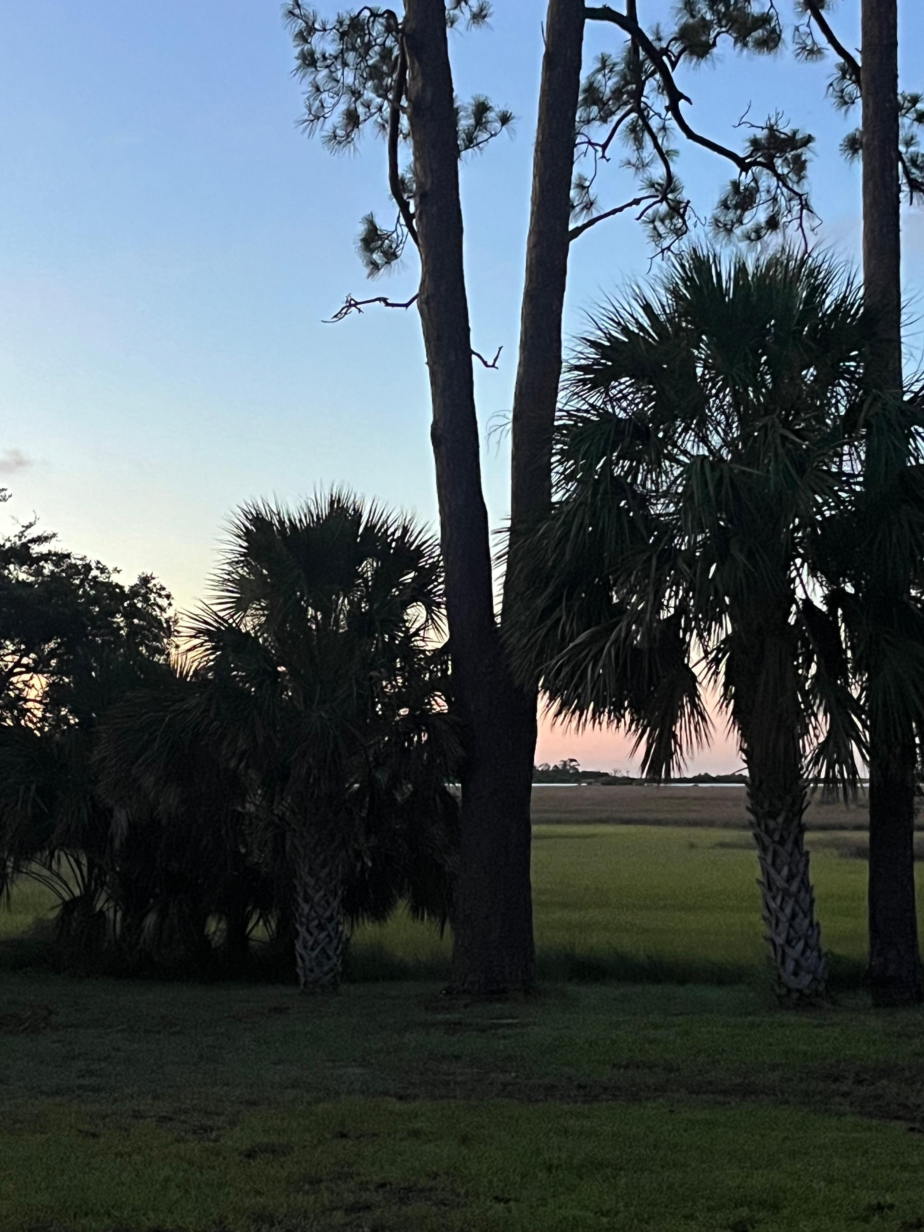 Sunrise from the porch