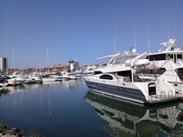 Always interesting Marina activities