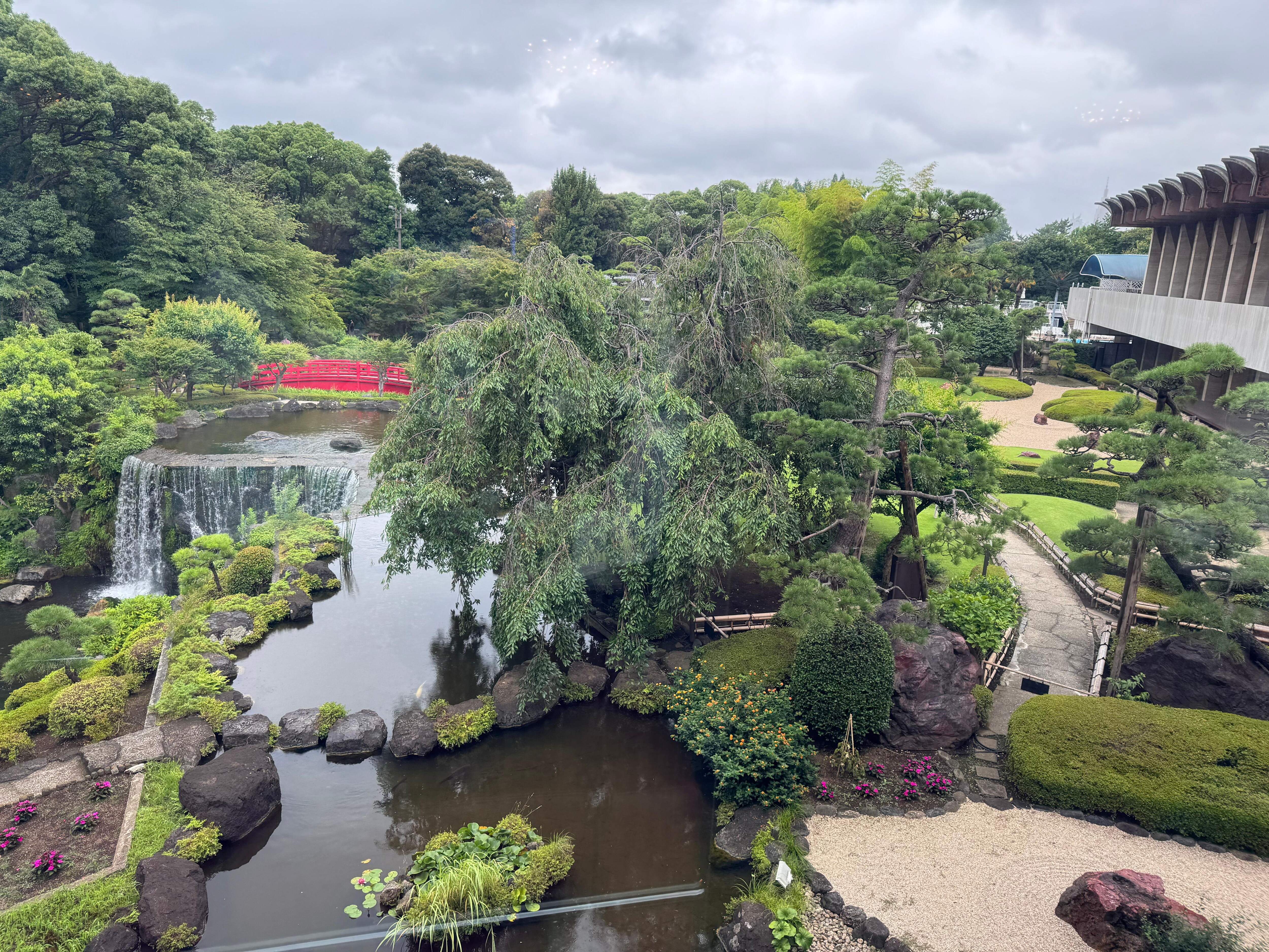 Garden restaurant 窗外的風景！
