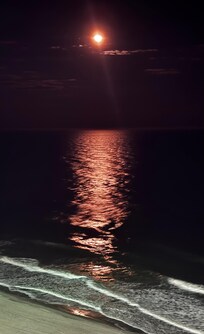 Moonlight on the water