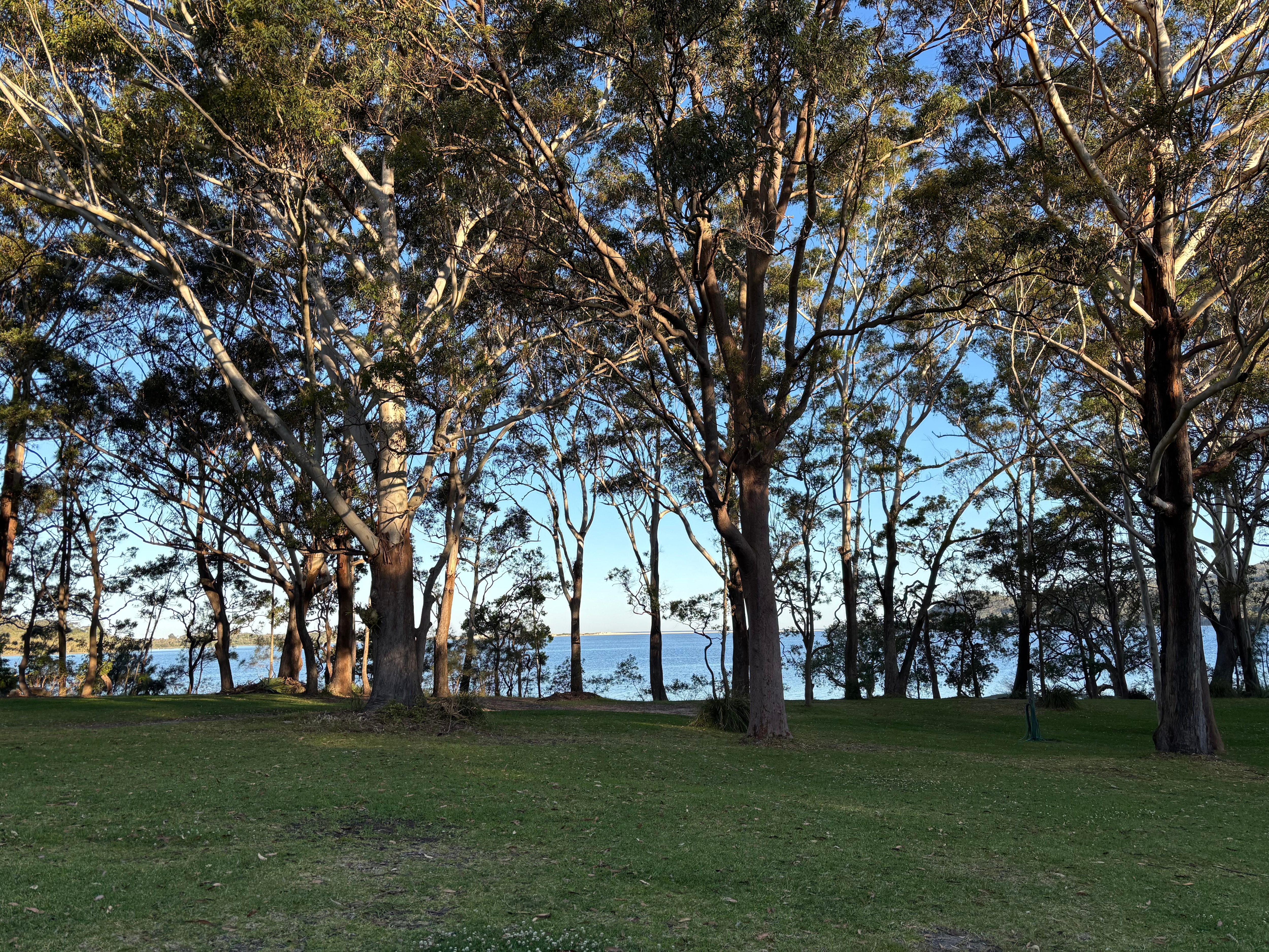 Afternoon view from Bongo’s Bungalow patio.