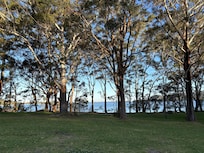 Afternoon view from Bongo’s Bungalow patio.
