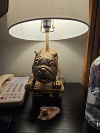 Fun lamp