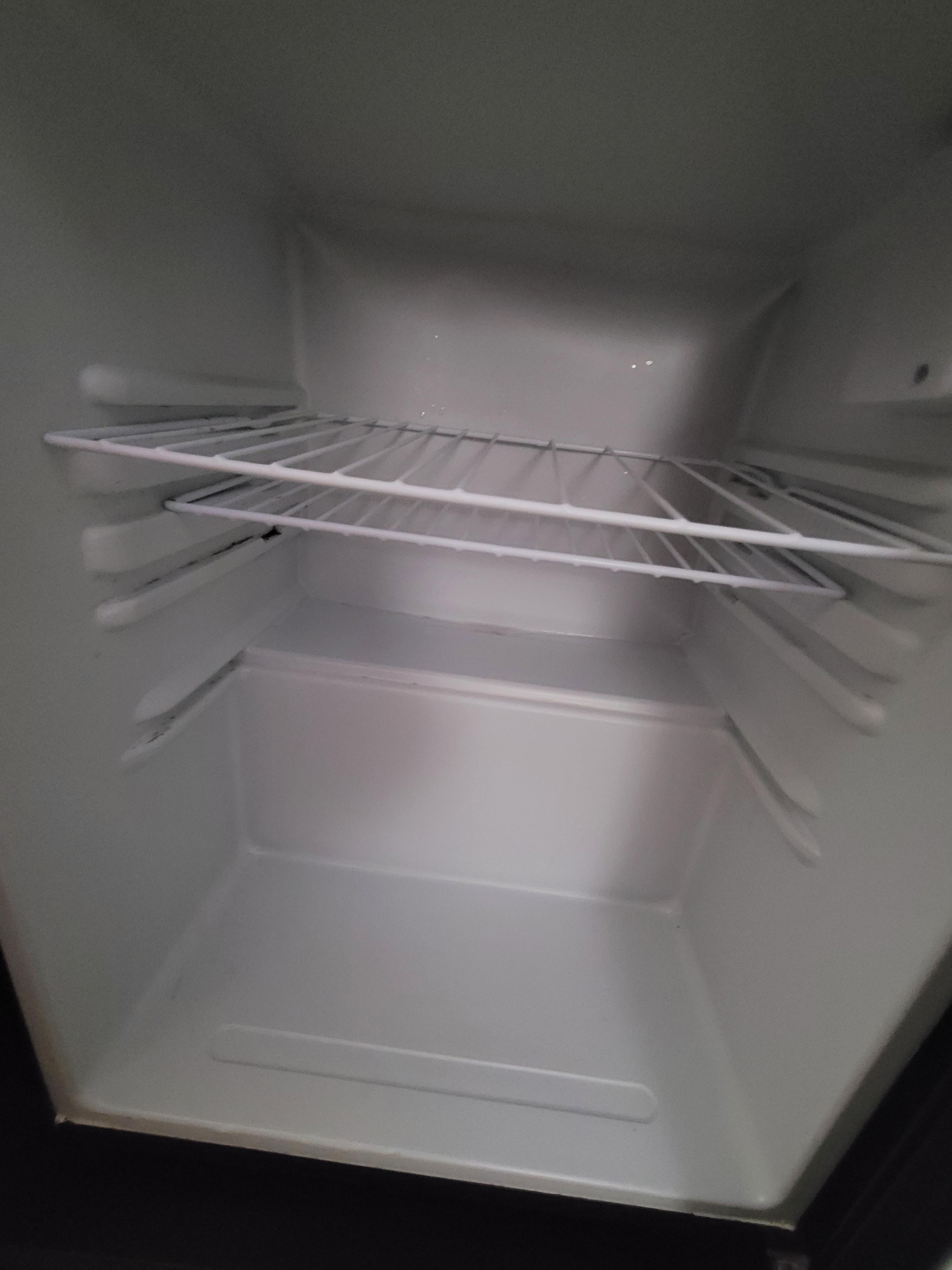 Black mold and odor from fridge
