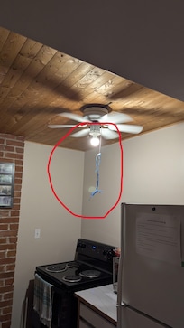 All Ceiling Fans without lamp shade and switches were too short.