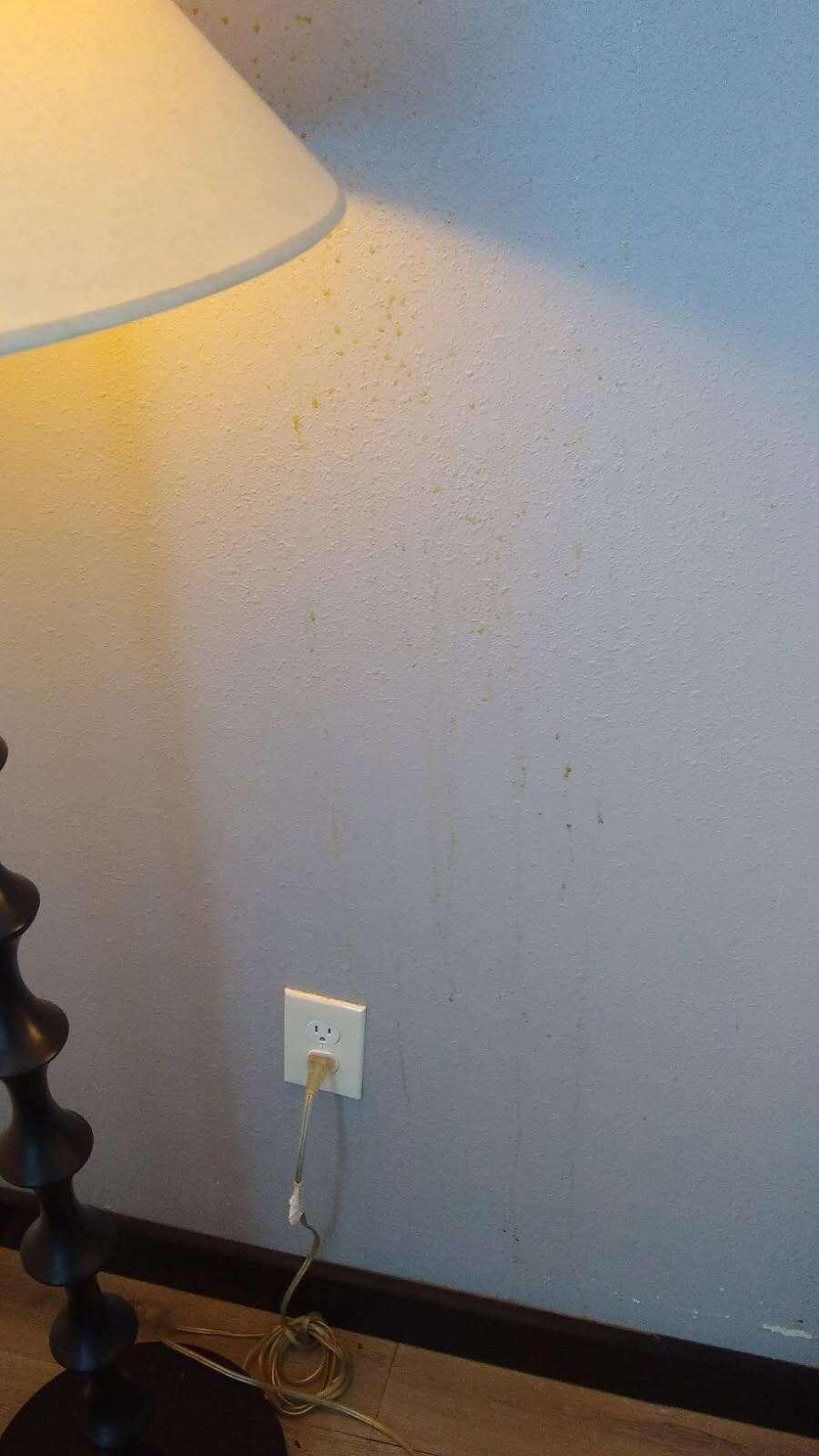 Dripping behind the free standing lamp in one corner of the room.