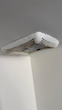 Mold on the fan