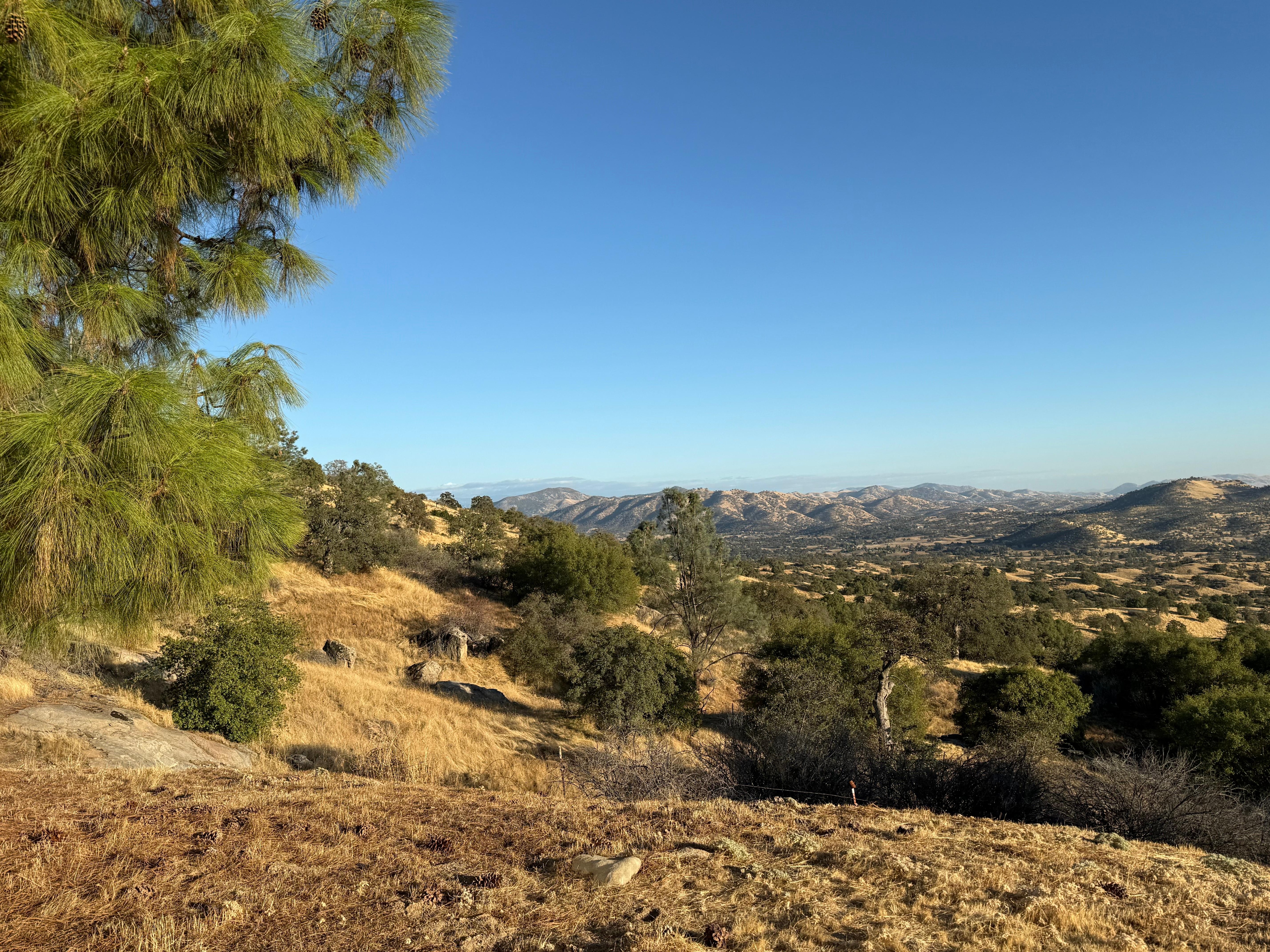 Another view to the northeast