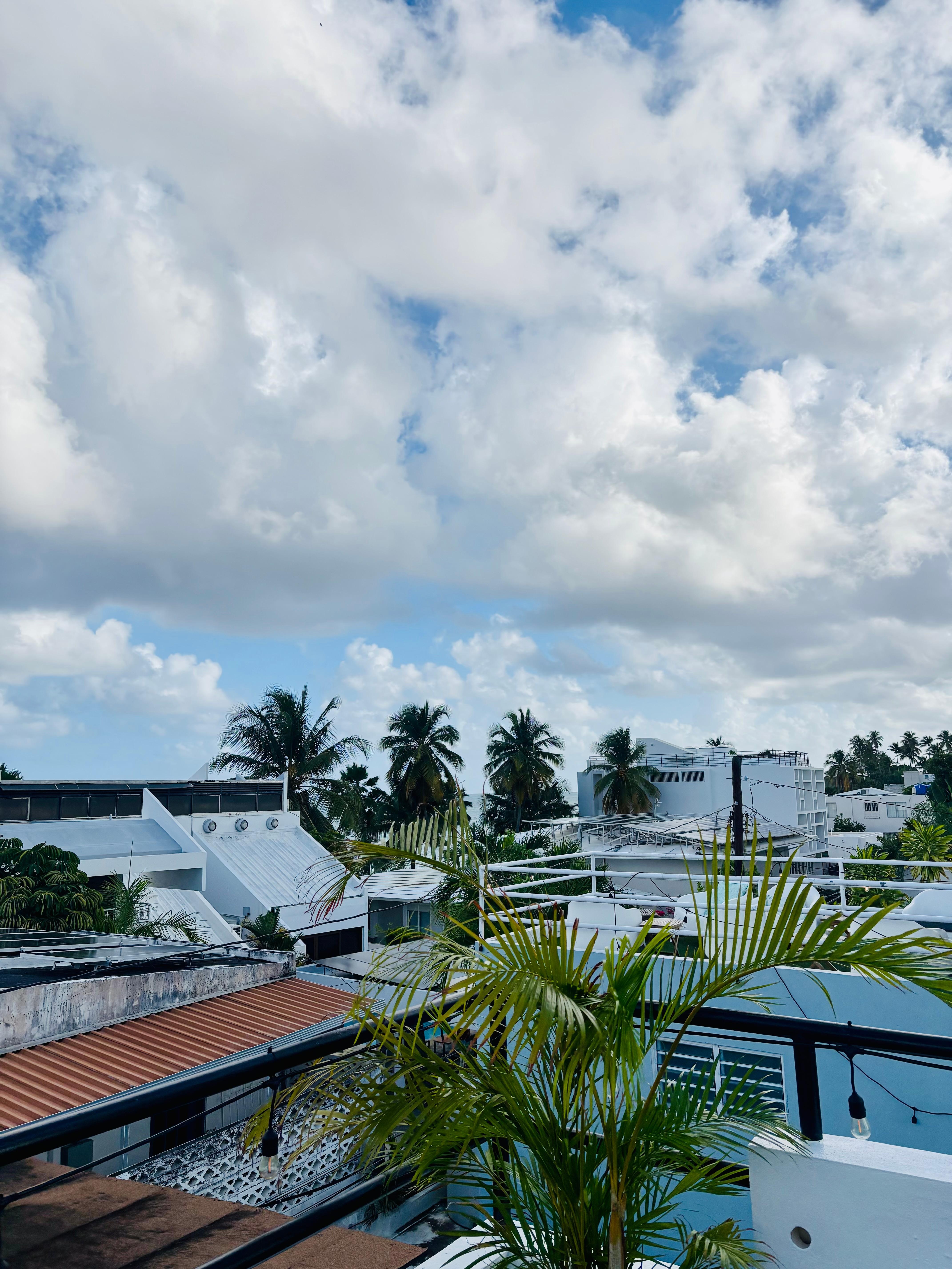 Loved the view of the beach from the roof!
