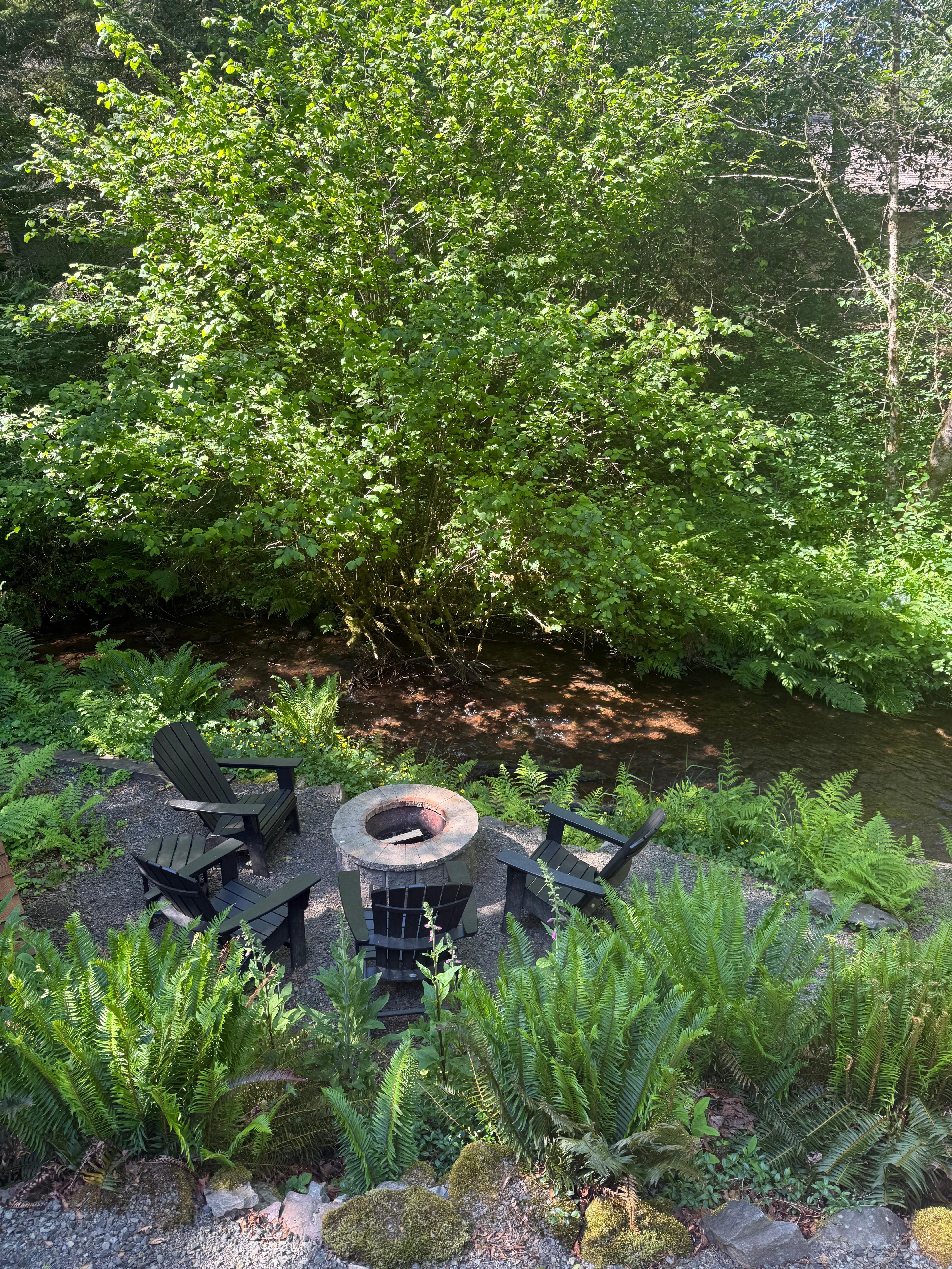 Firepit near the creek