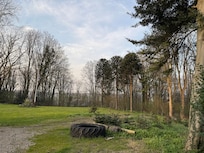 This is part of the grounds of the main house