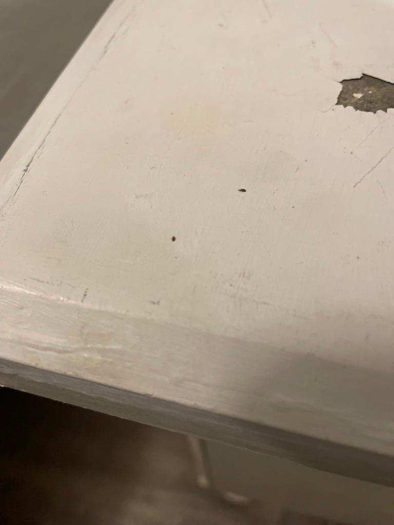 Bed Bugs