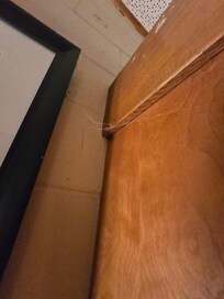Lots of cobwebs around the room