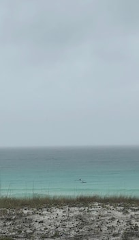 View of dolphins from the balcony.