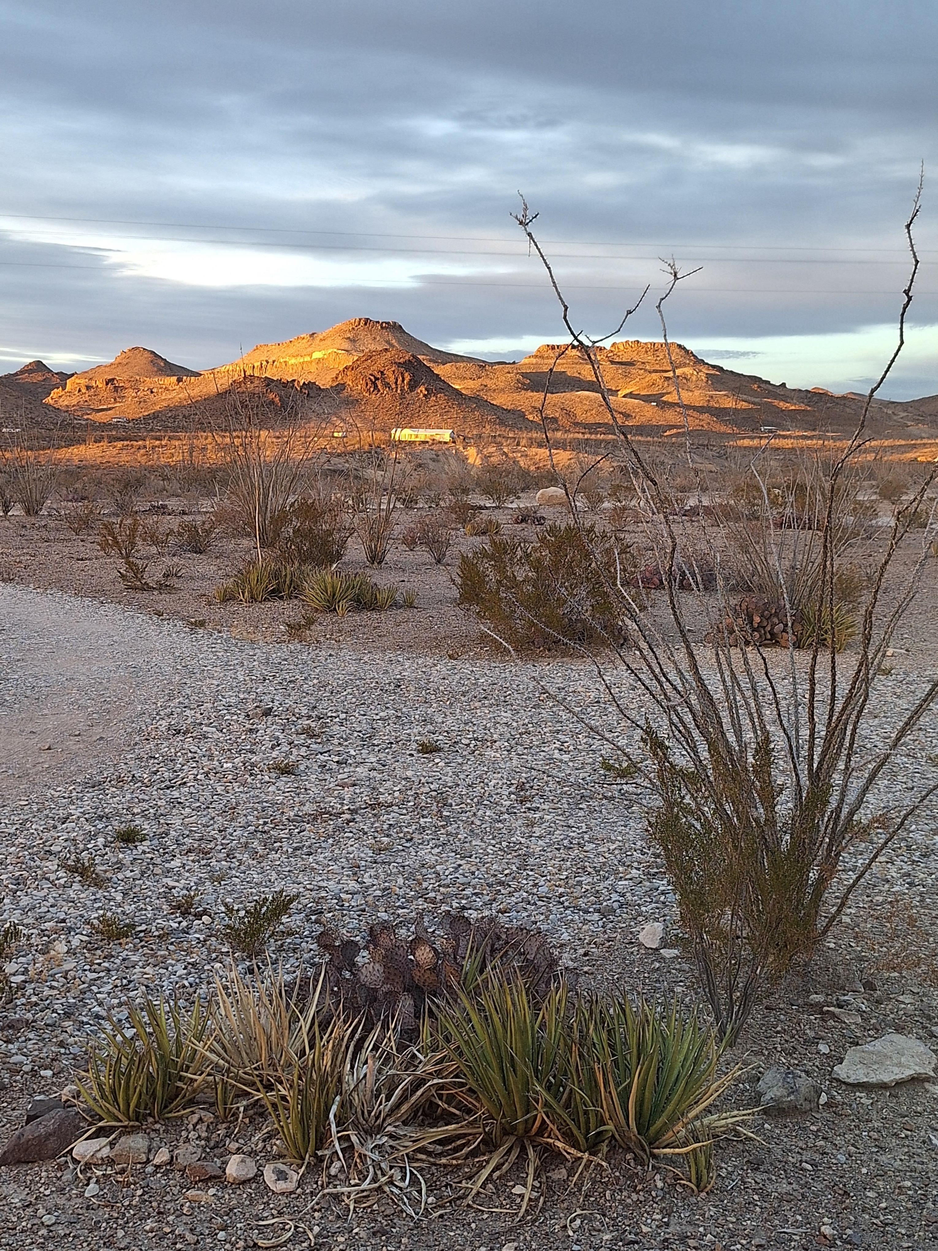 Looking across the street 