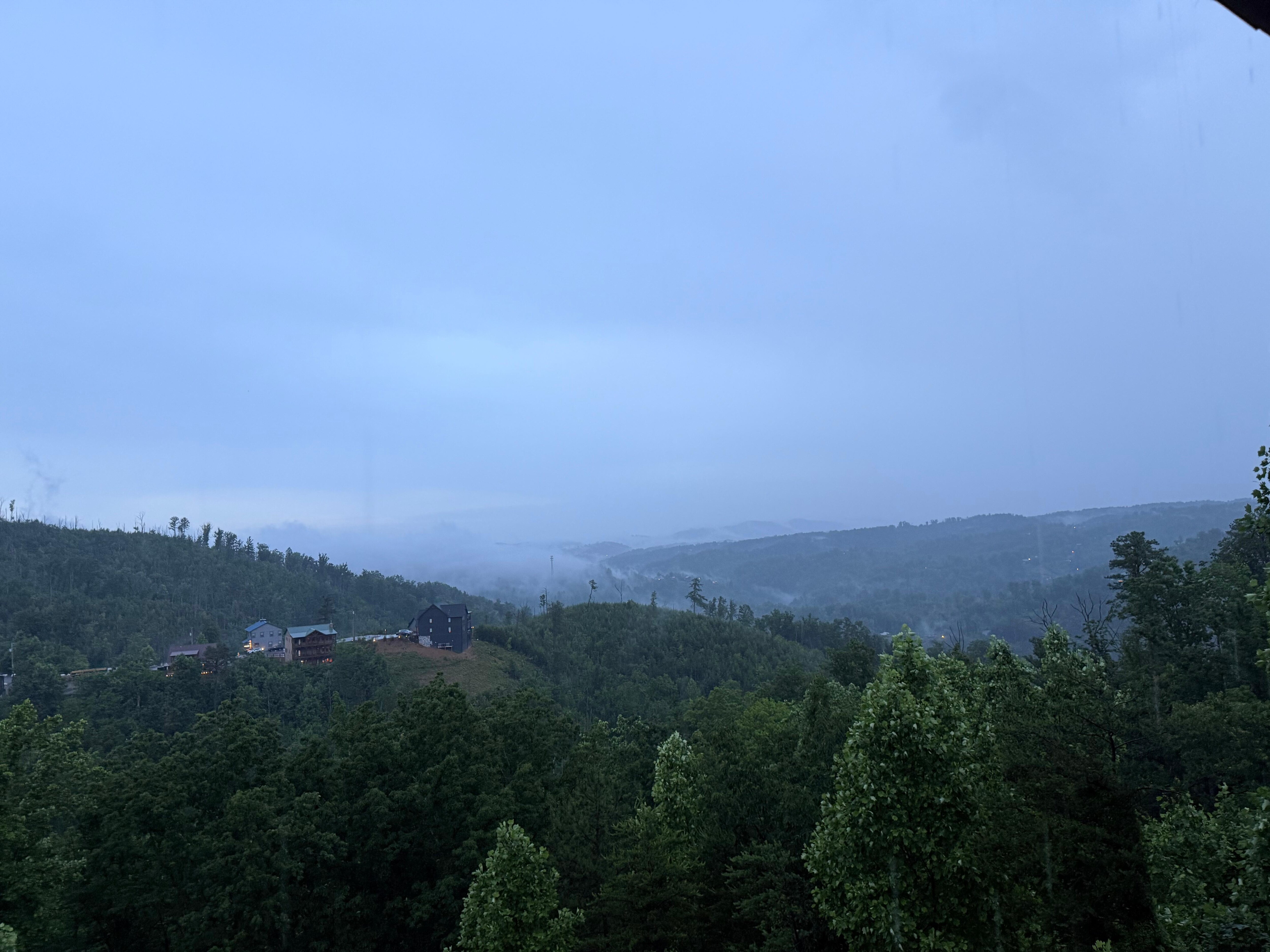 View from the living room 