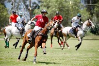 We got to watch a wonderful Polo Match.