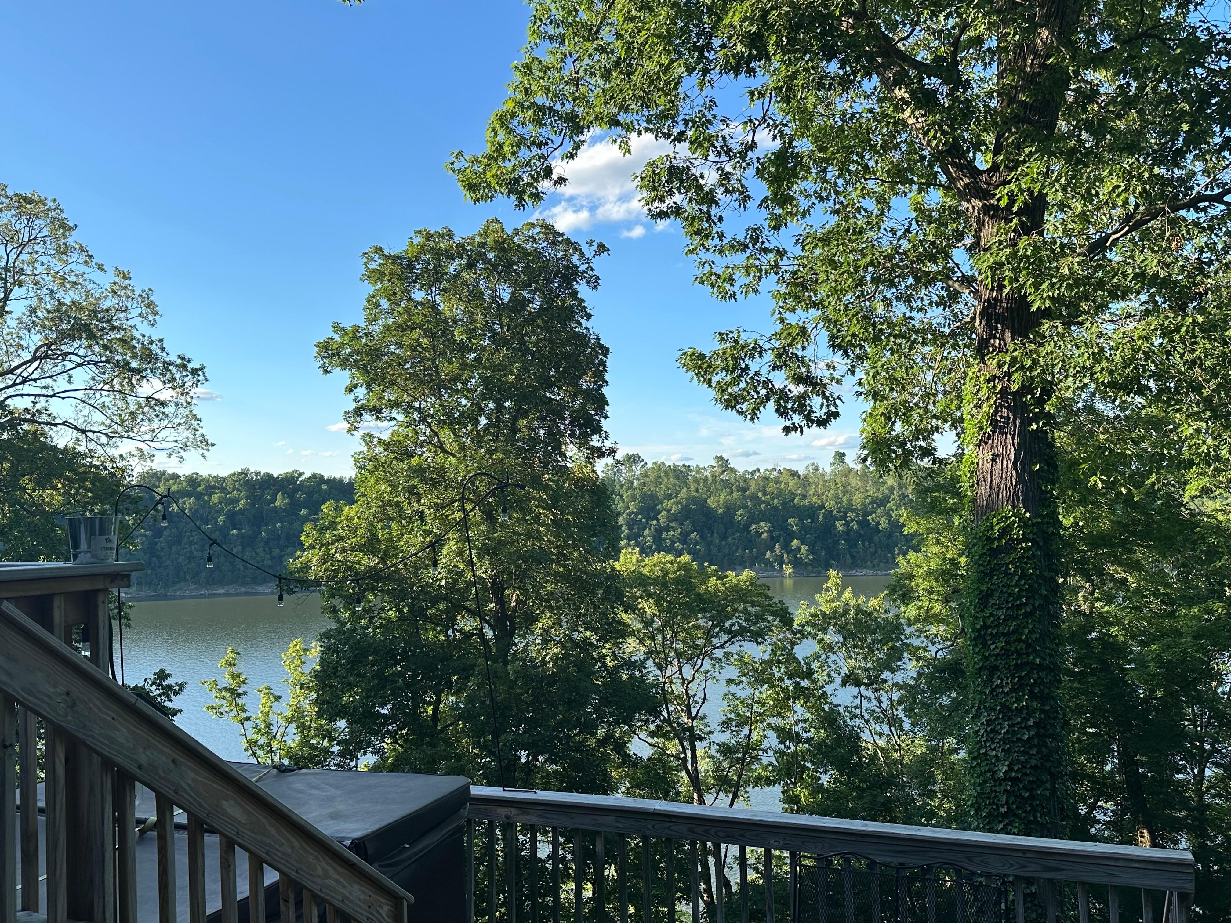 The view