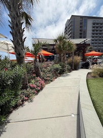 Beach club