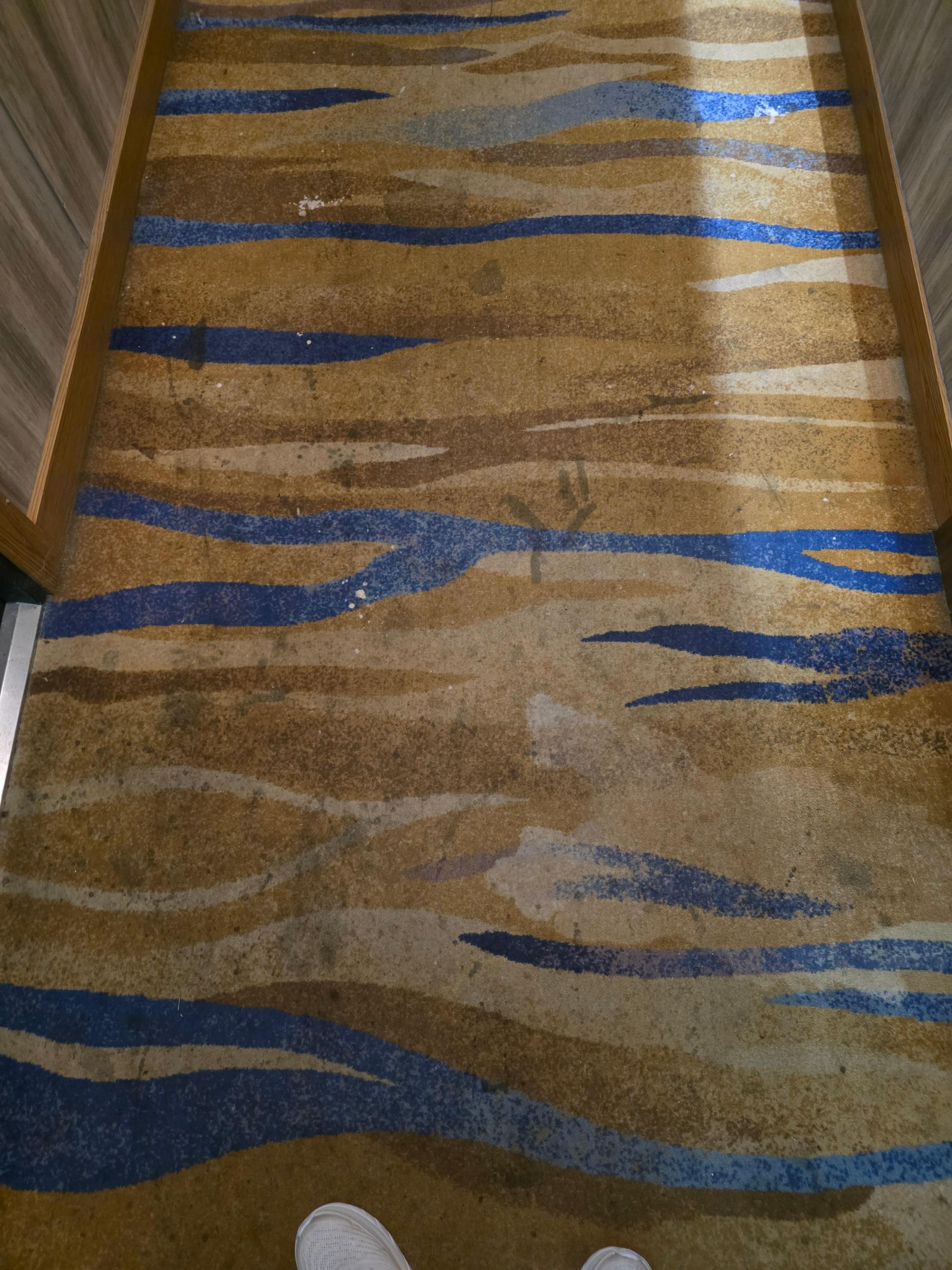 Hallway carpet was dirty 