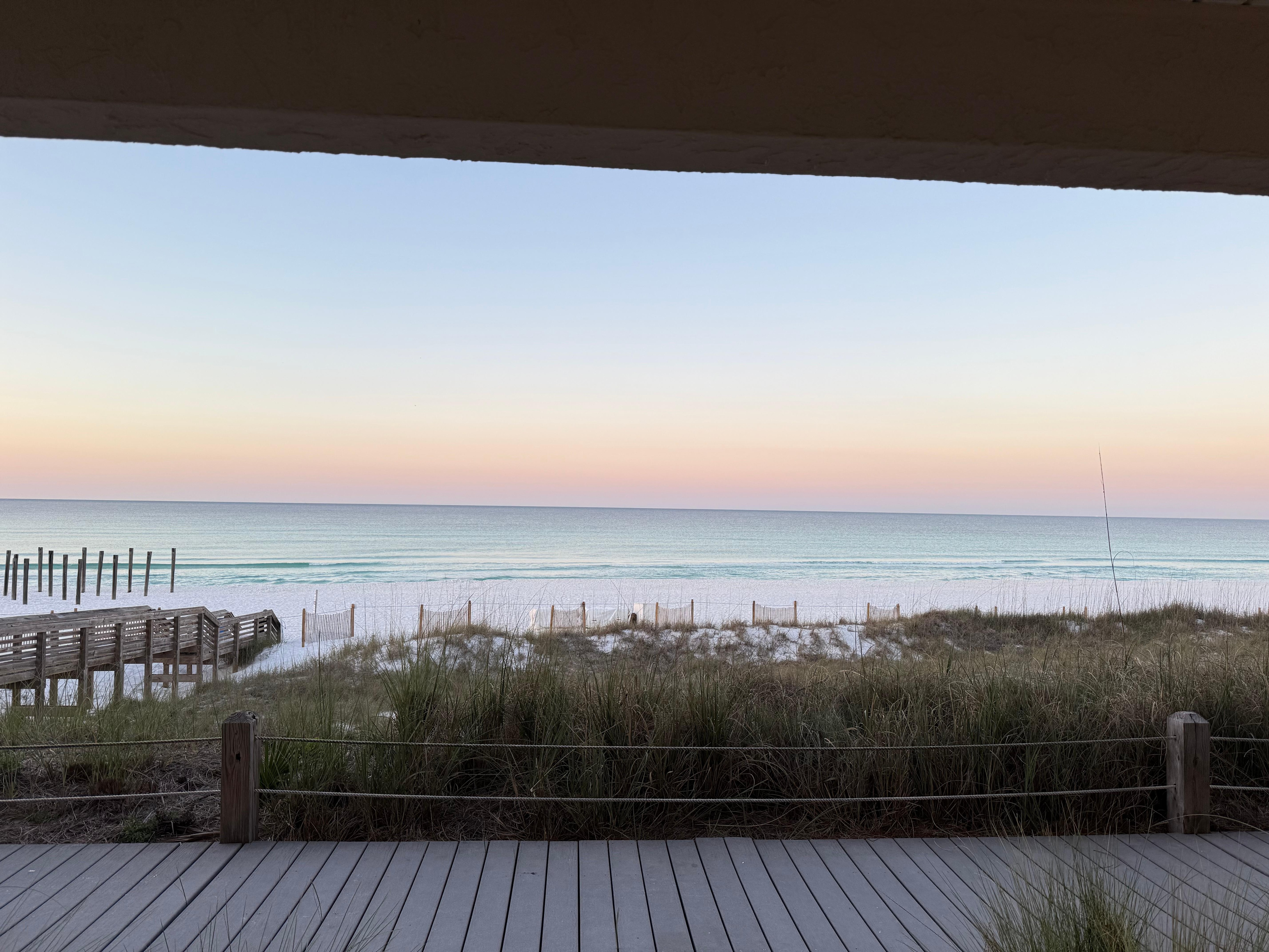View from back porch 