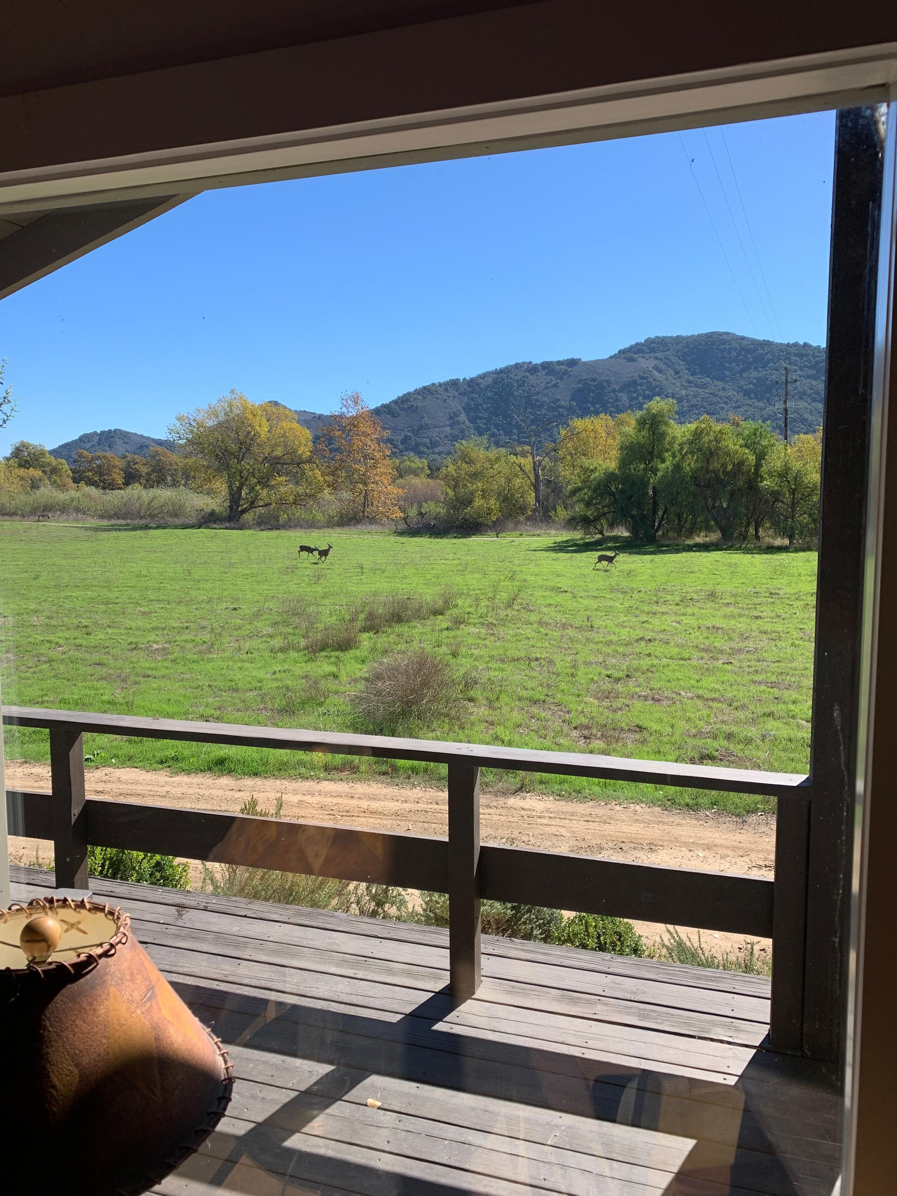 Looking out family room window at view