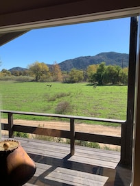Looking out family room window at view